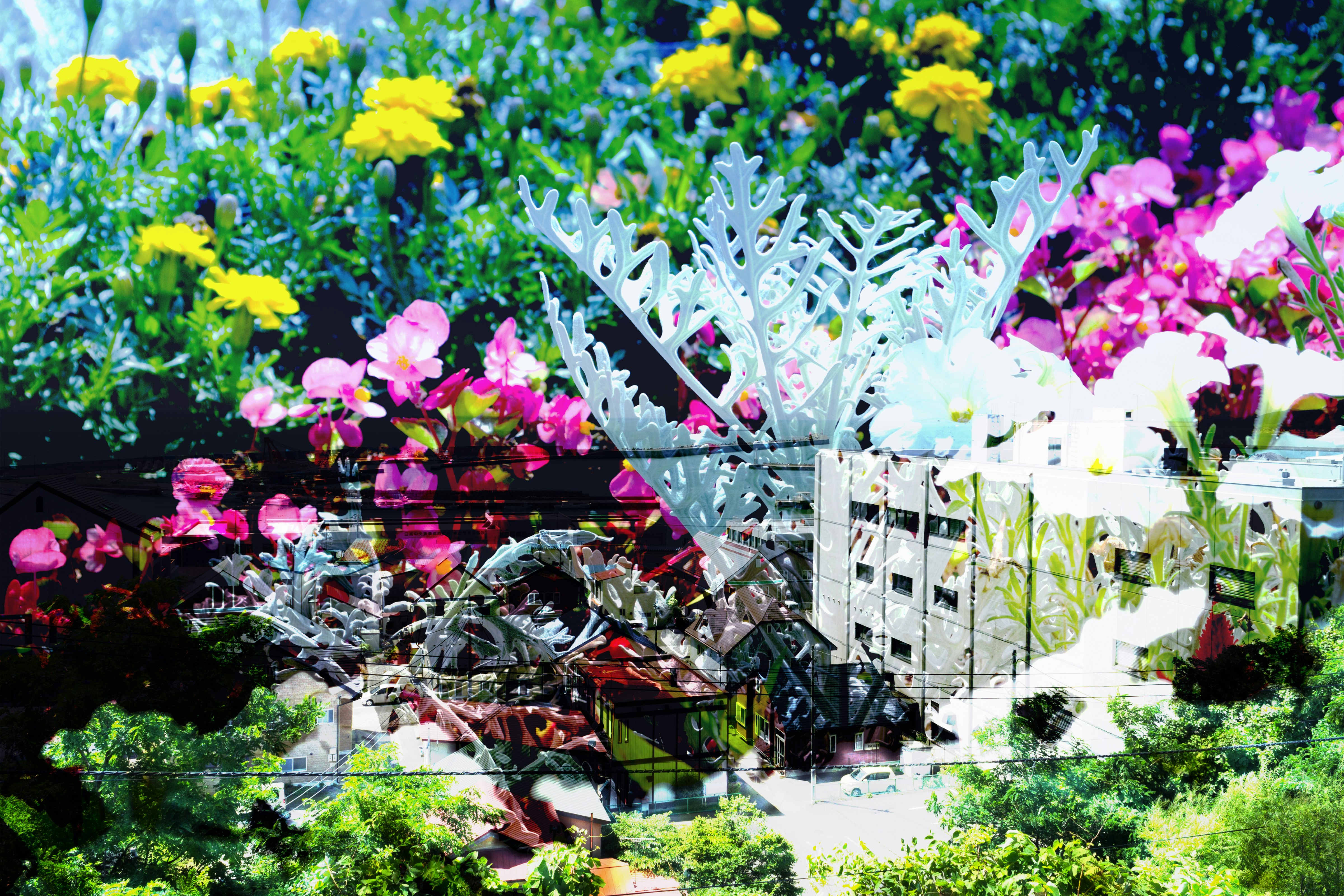 色とりどりの花が咲く庭の花壇