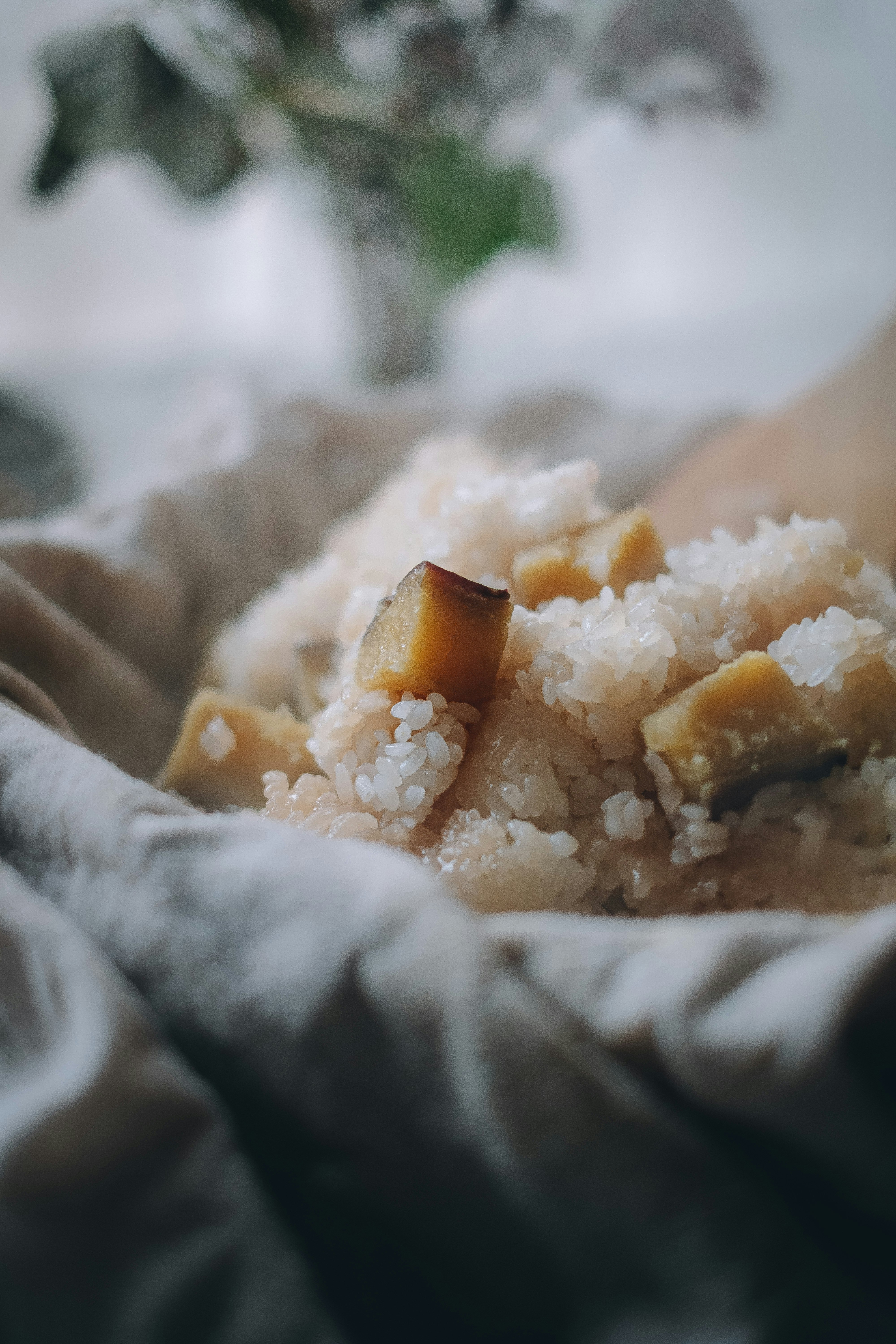 スプーンですくったココナッツ風味のデザート