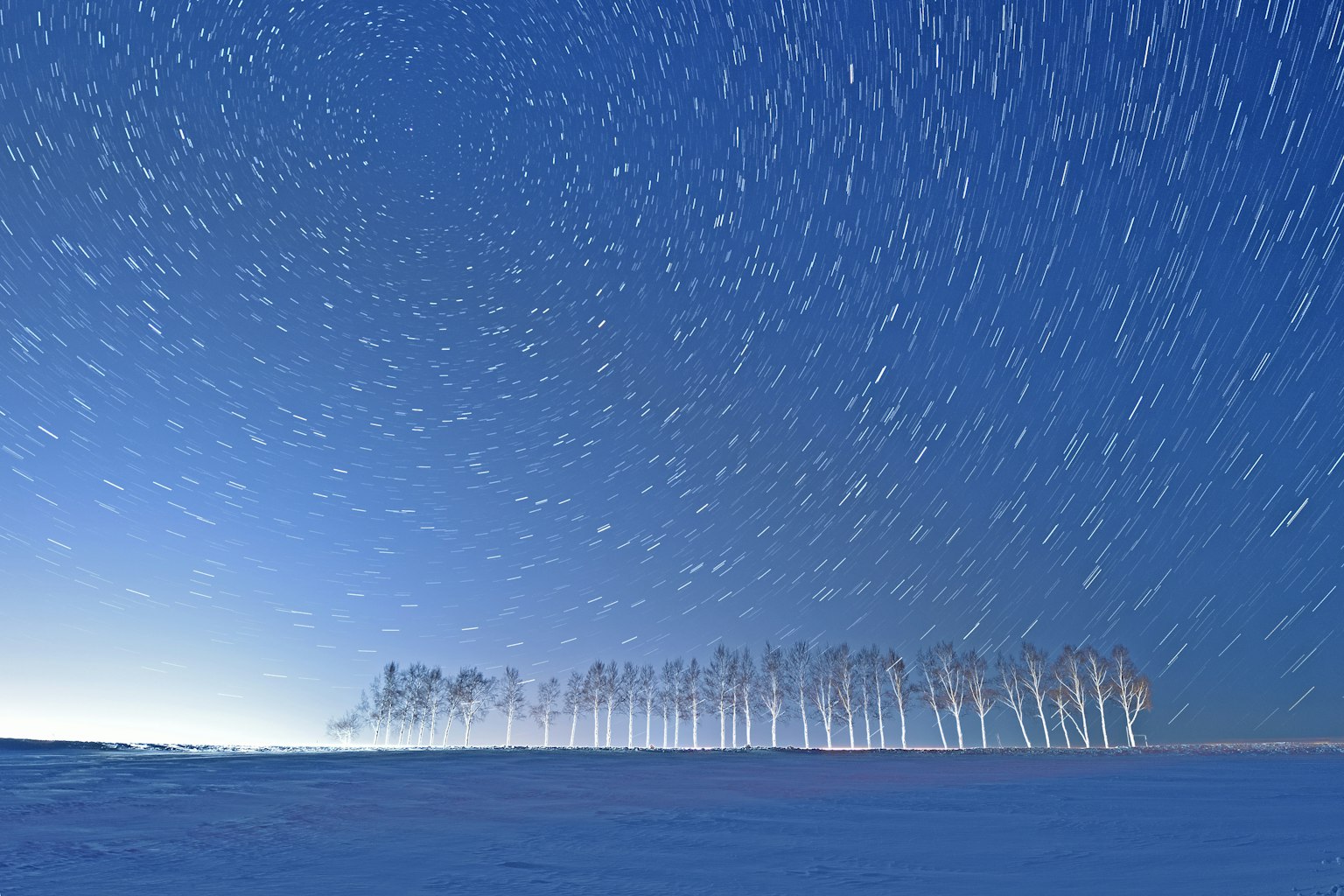Un paysage magnifique avec un sol enneigé et des silhouettes d'arbres sous un ciel bleu