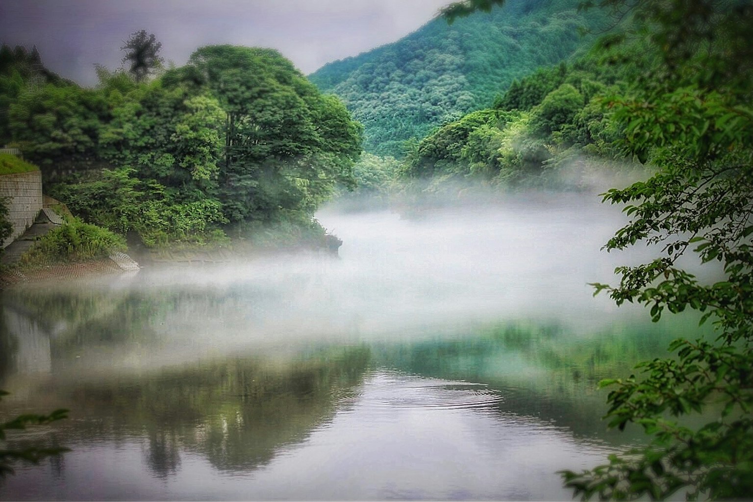 Misty river landscape with lush green mountains