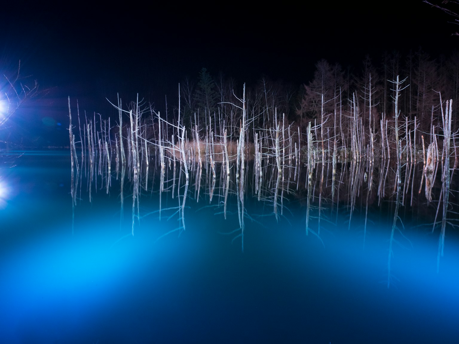 Un lac serein avec des arbres blancs se tenant dans l'eau reflétant une lumière bleue