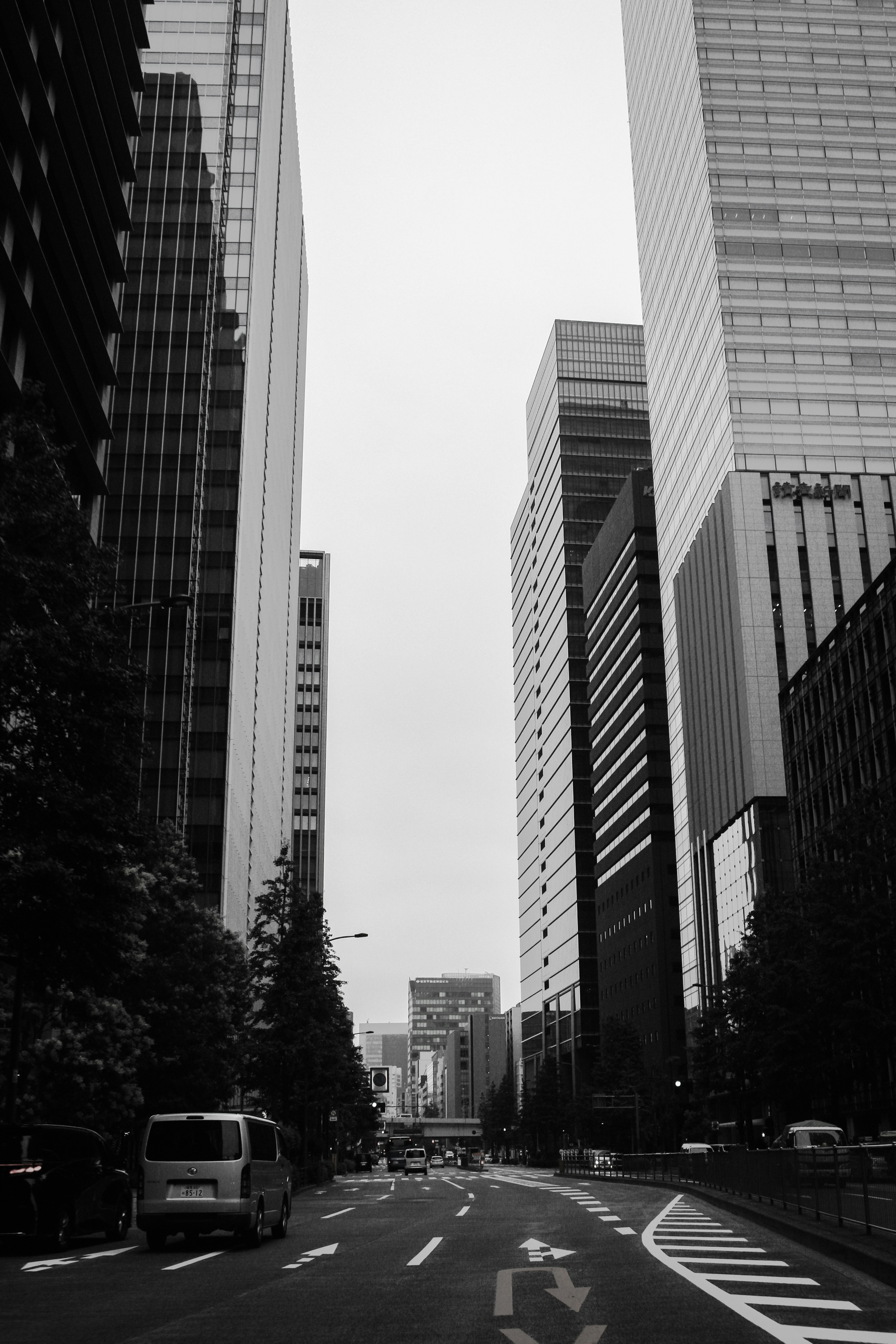photo-3OSaYhO1ciWWtUaZYkLC