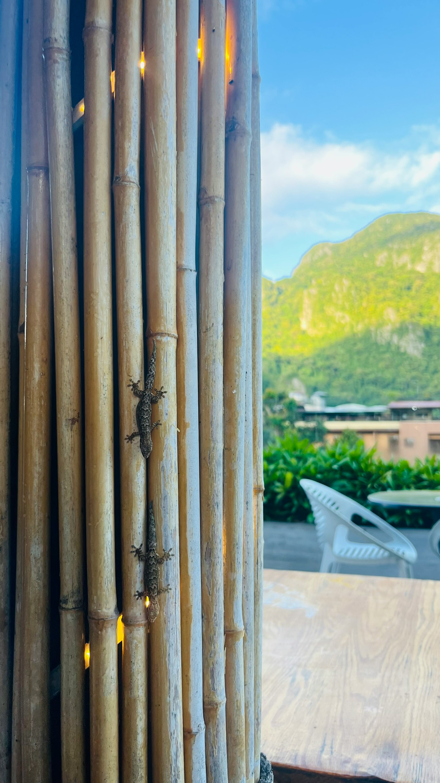 竹の柱と山の景色が見えるリラックスした環境