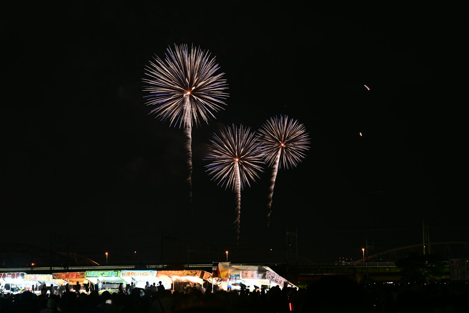 Pháo lớn nở rộ trên bầu trời đêm với khán giả bên dưới