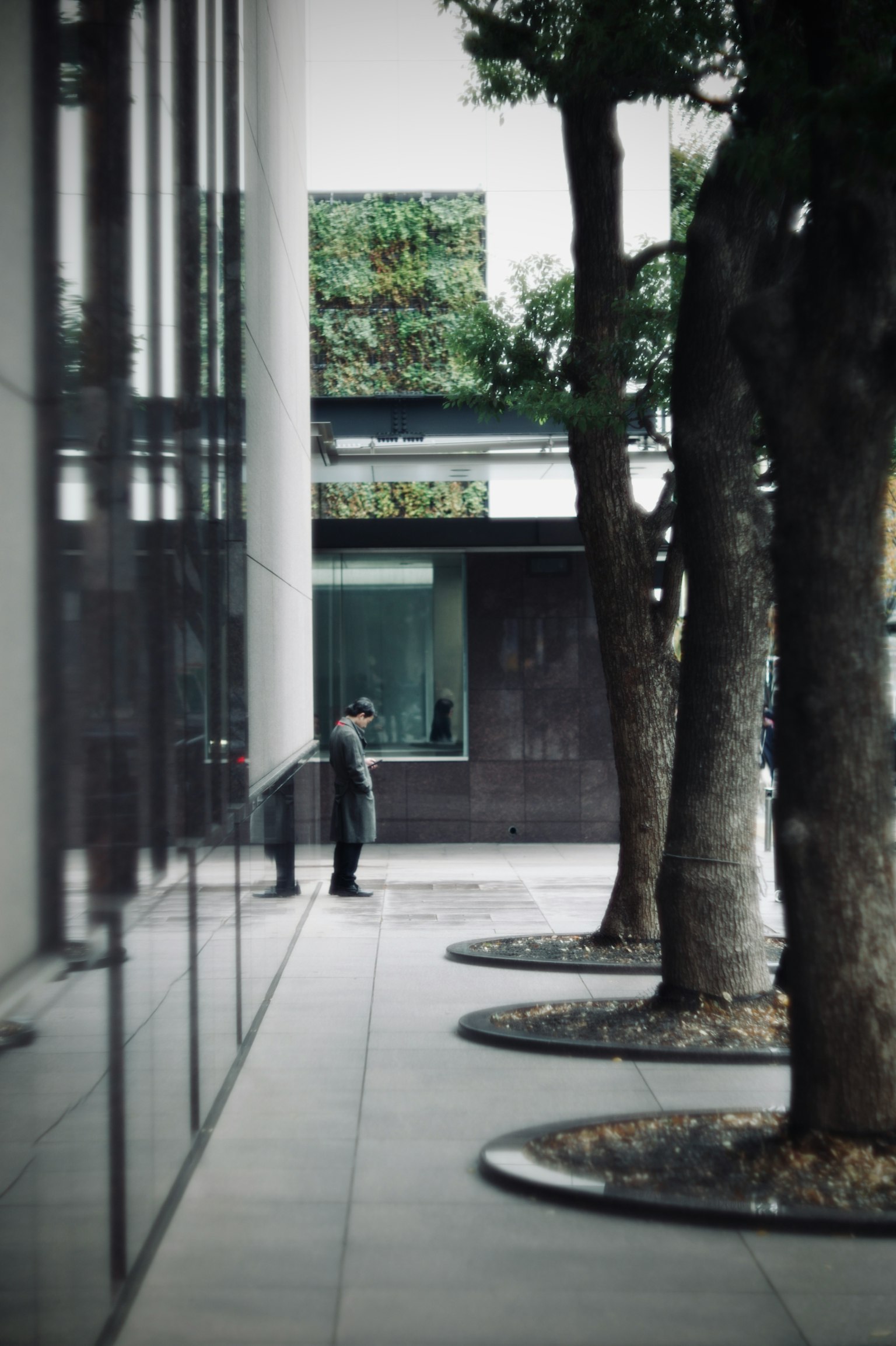 一個人在建築物前等候，周圍有樹木