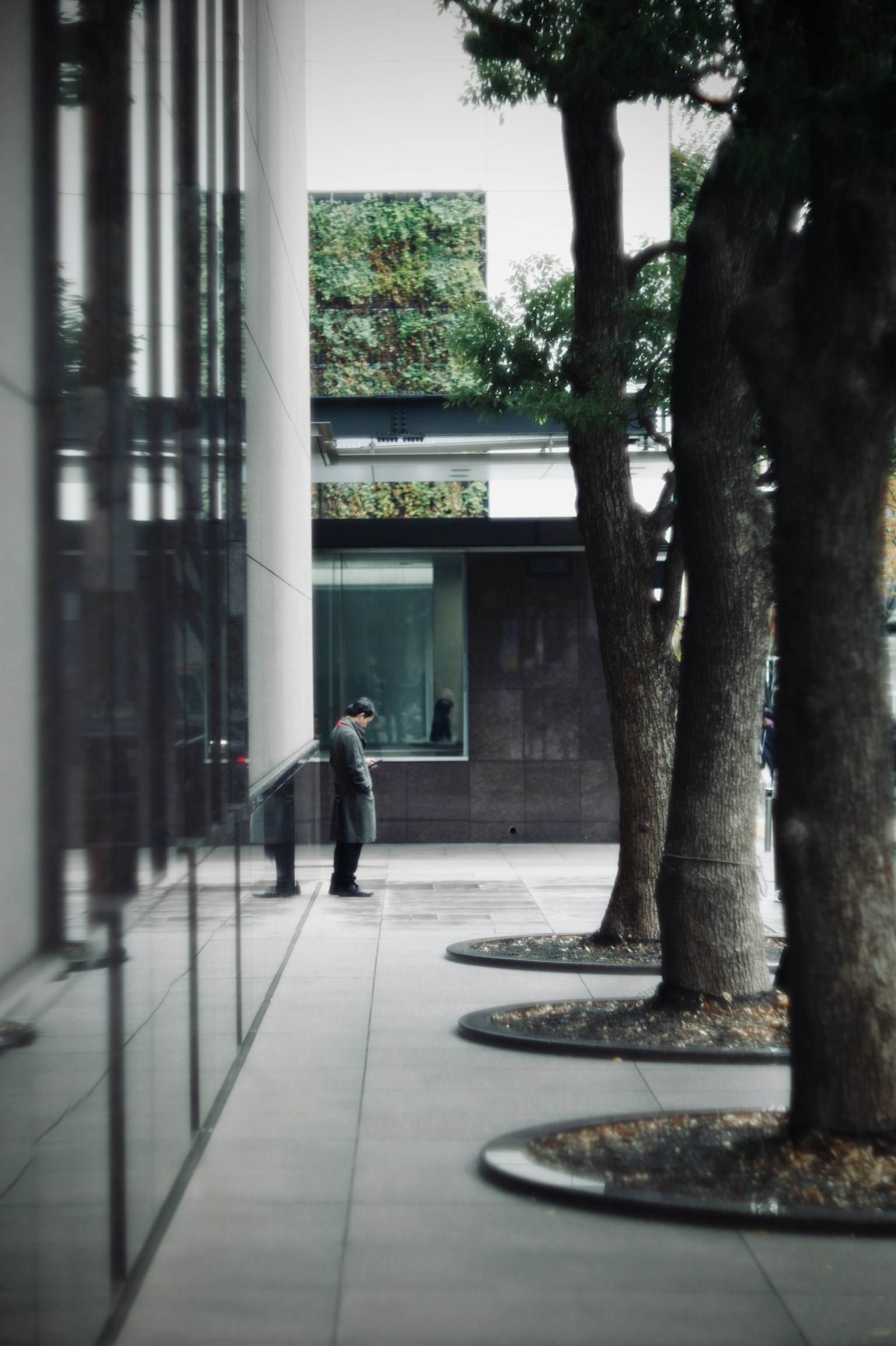 Seseorang menunggu di depan gedung dengan pepohonan di sekitarnya