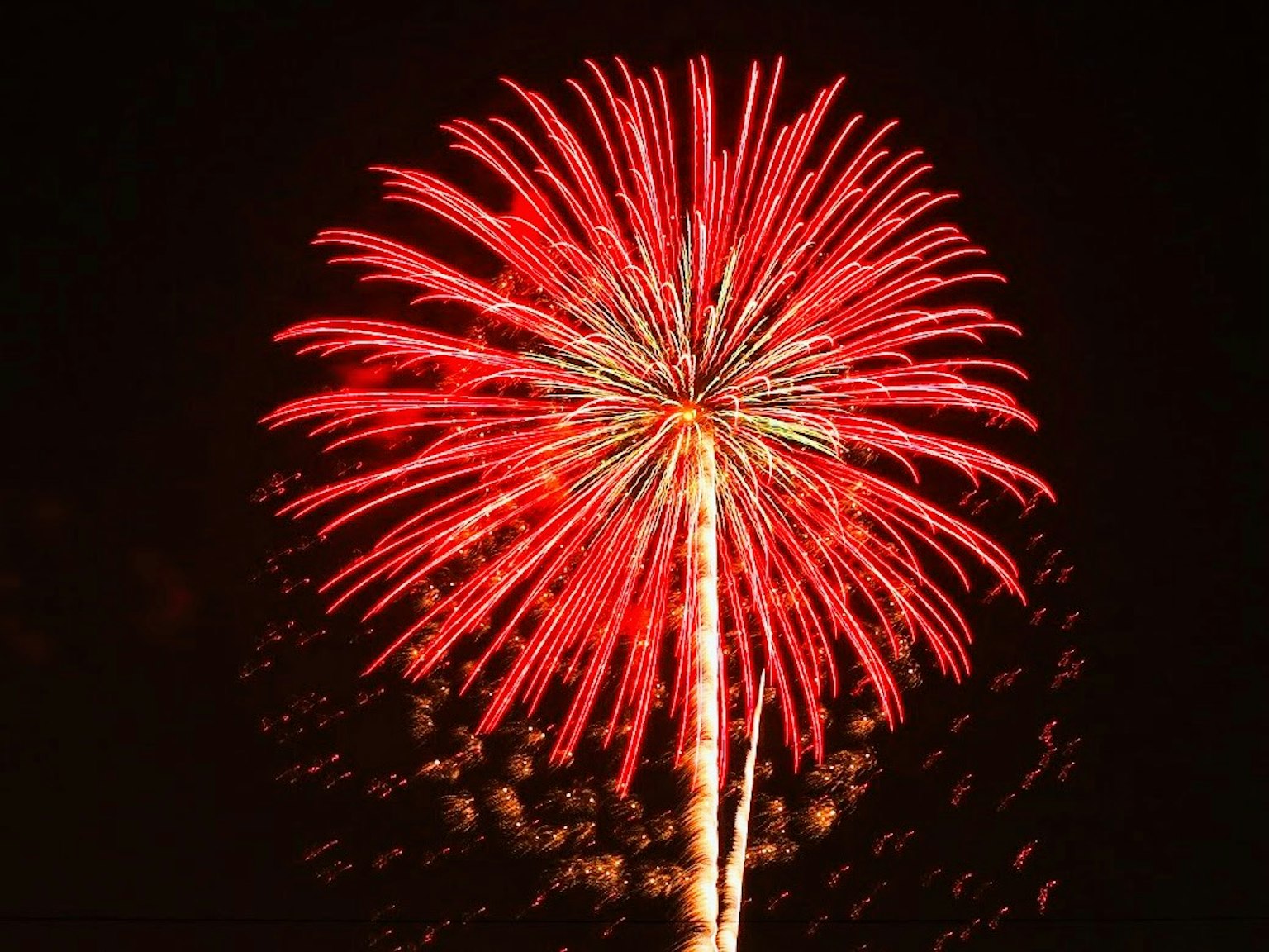 Impresionante explosión de un fuego artificial rojo en el cielo nocturno