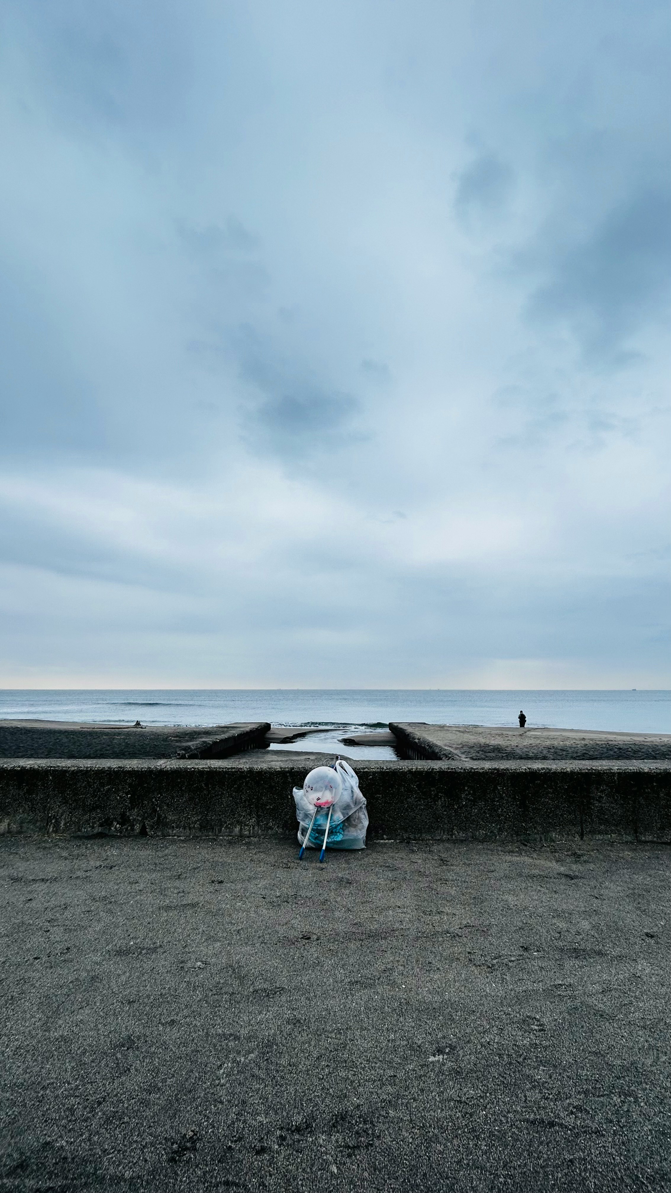 海辺の防波堤とゴミ袋を持つ人物