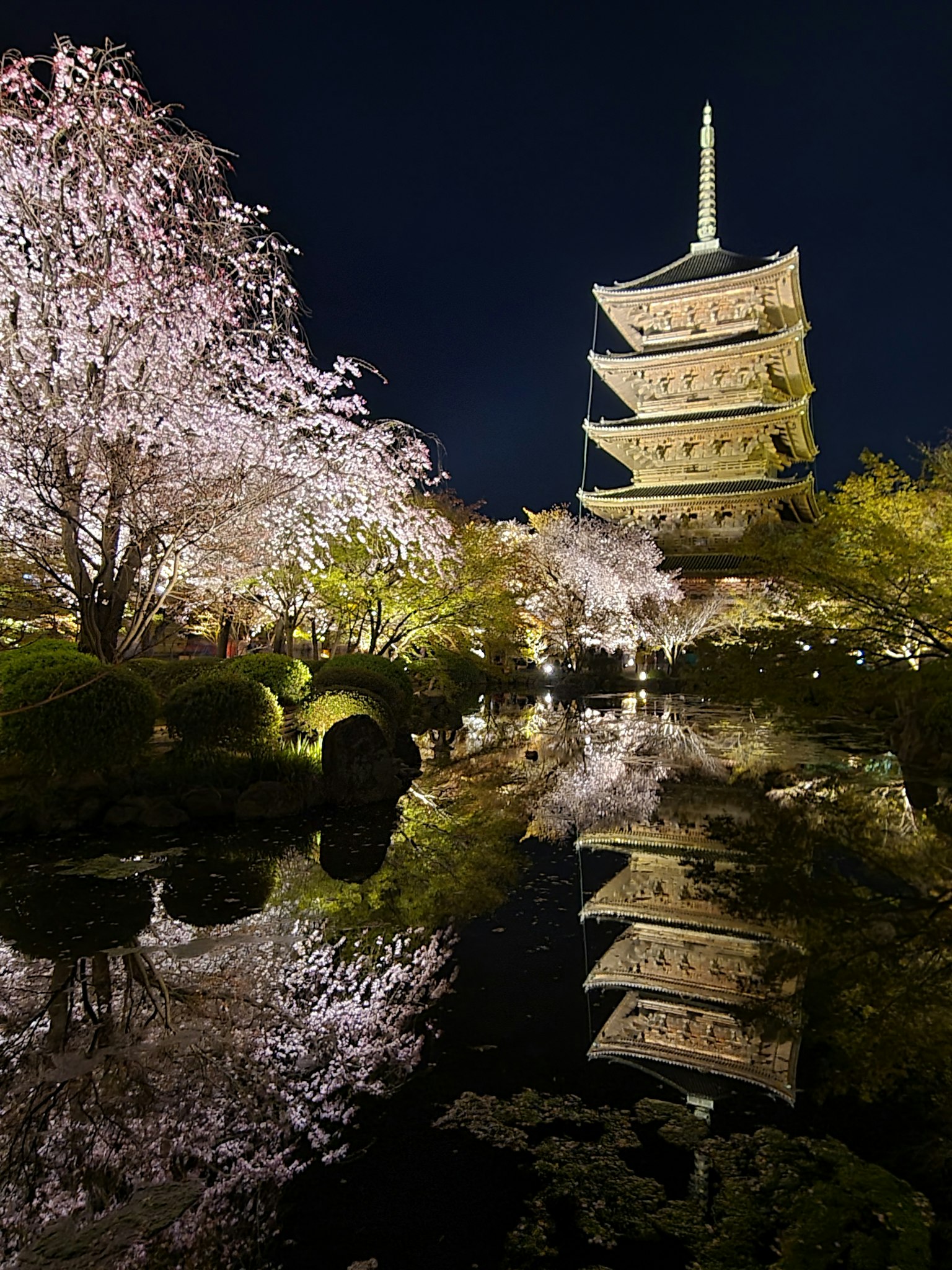 Vue pittoresque des cerisiers et de la pagode reflétés dans l'eau la nuit