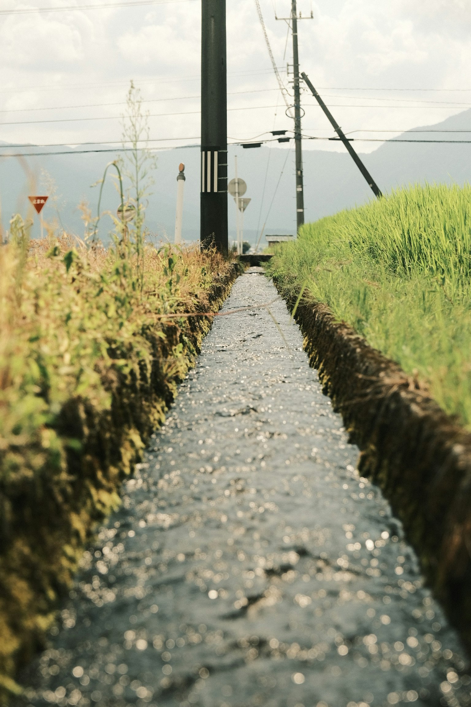 Paysage rural avec un canal et de l'herbe environnante