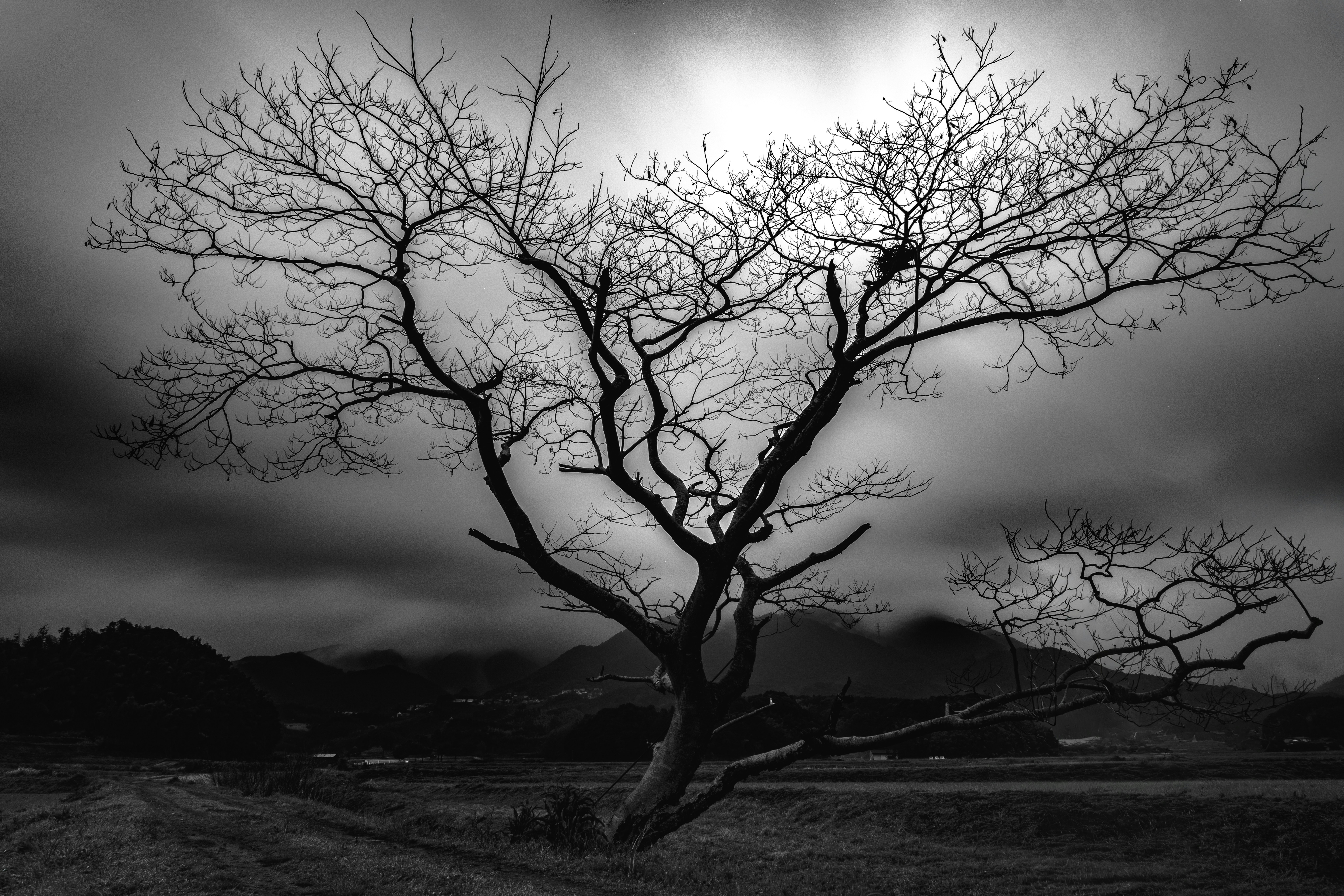 photo-3QftdaE7i9OSxw3TOXFr