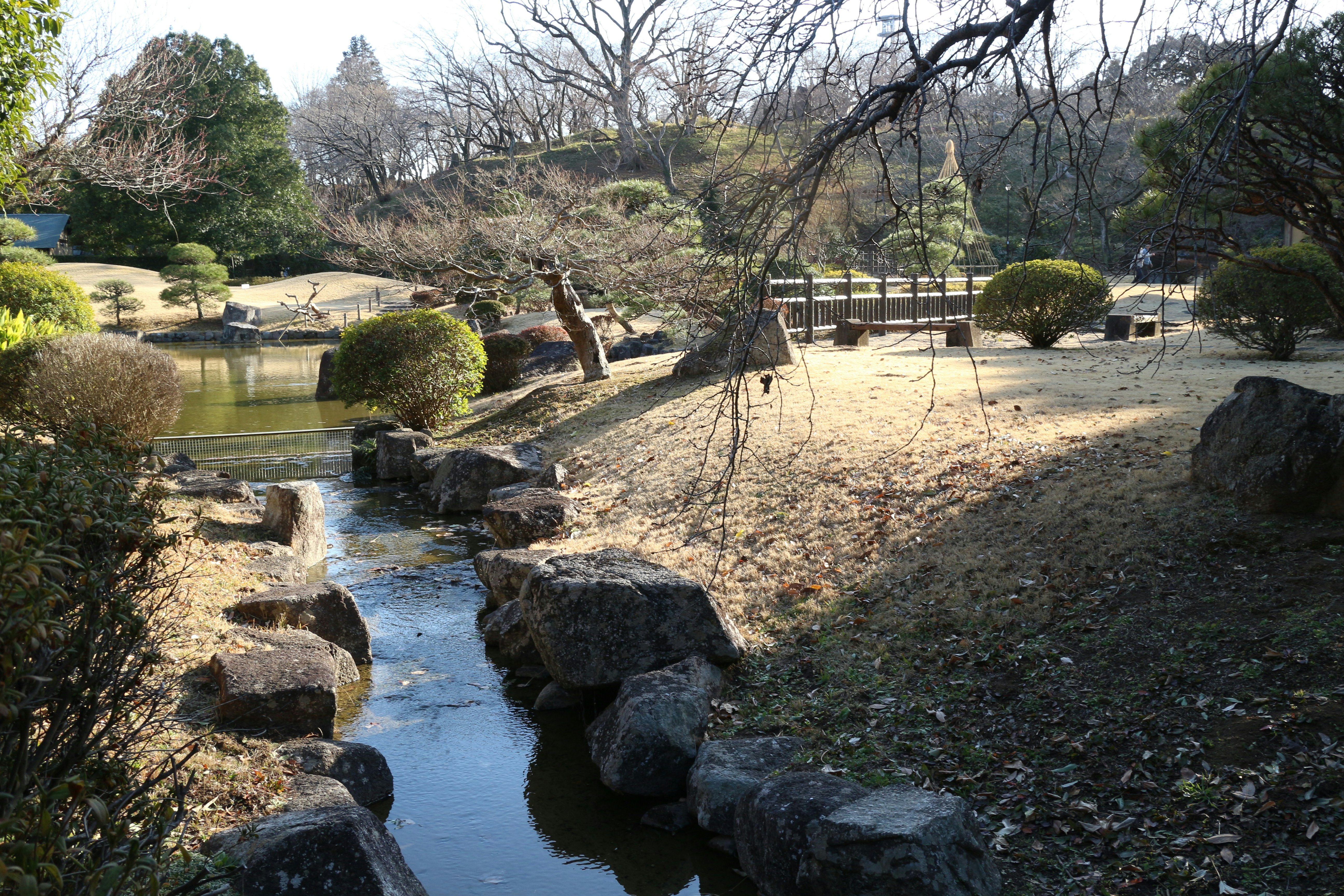小川と石組みの流れがある庭園の景観