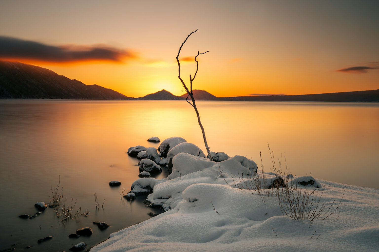 Escena serena de lago invernal con rocas cubiertas de nieve y un árbol desnudo al atardecer
