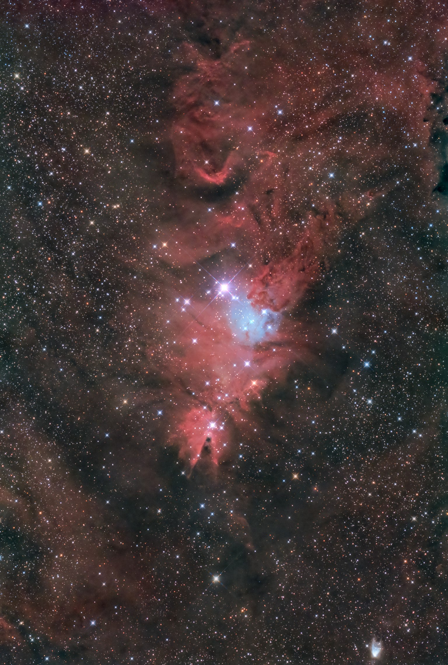 Image céleste magnifique présentant des nébuleuses et des étoiles