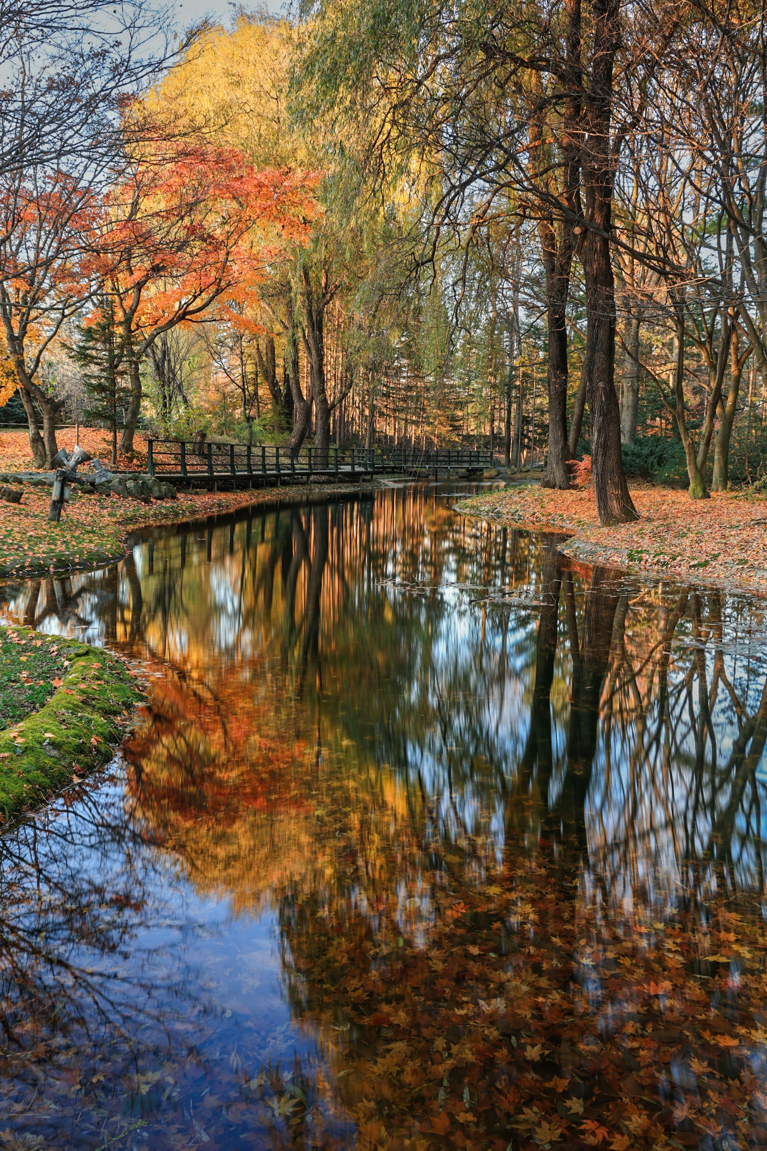 秋の色彩が映る静かな池と橋の風景