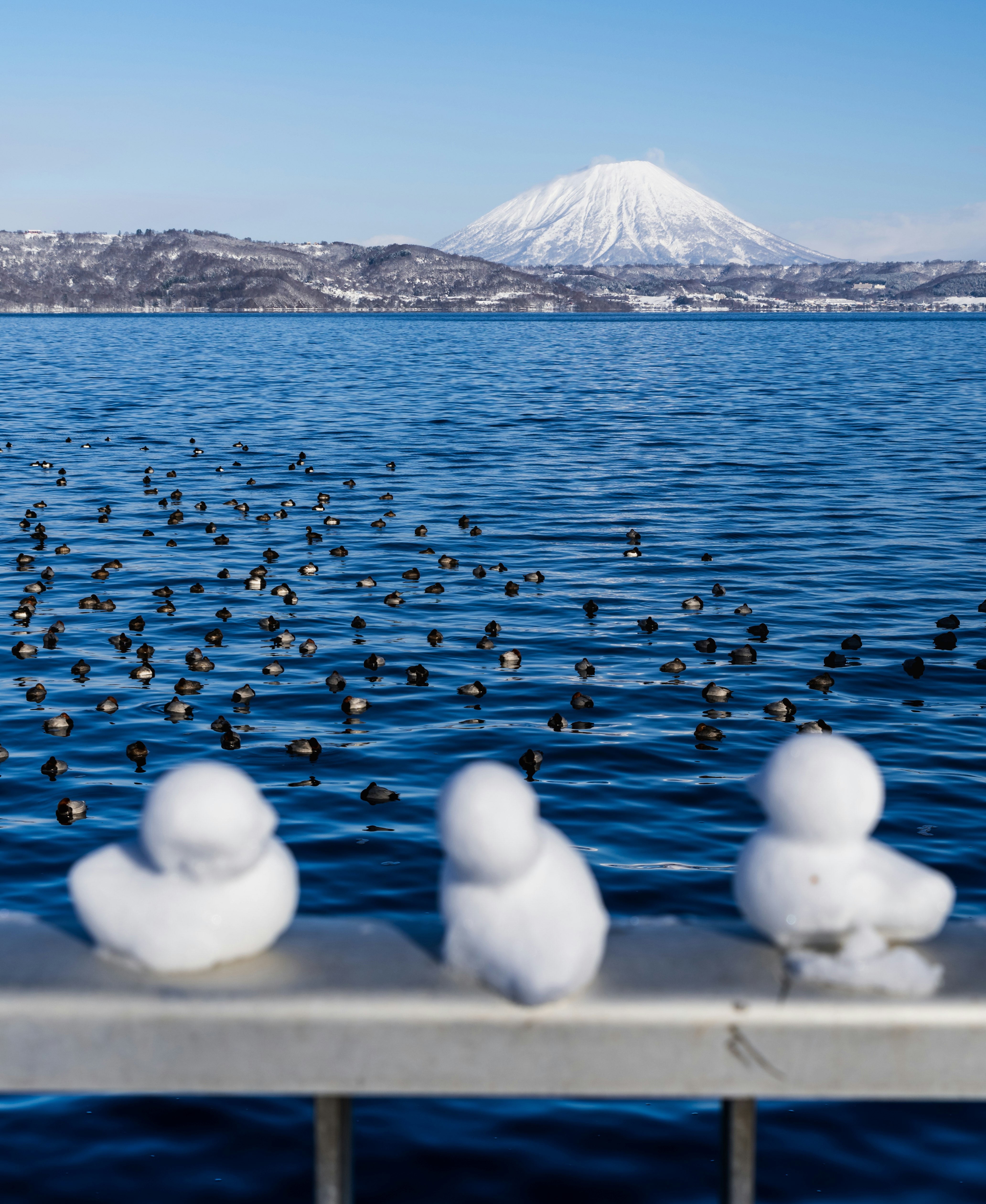 洞爺湖の湖面と羊蹄山を望む雪景色の風景