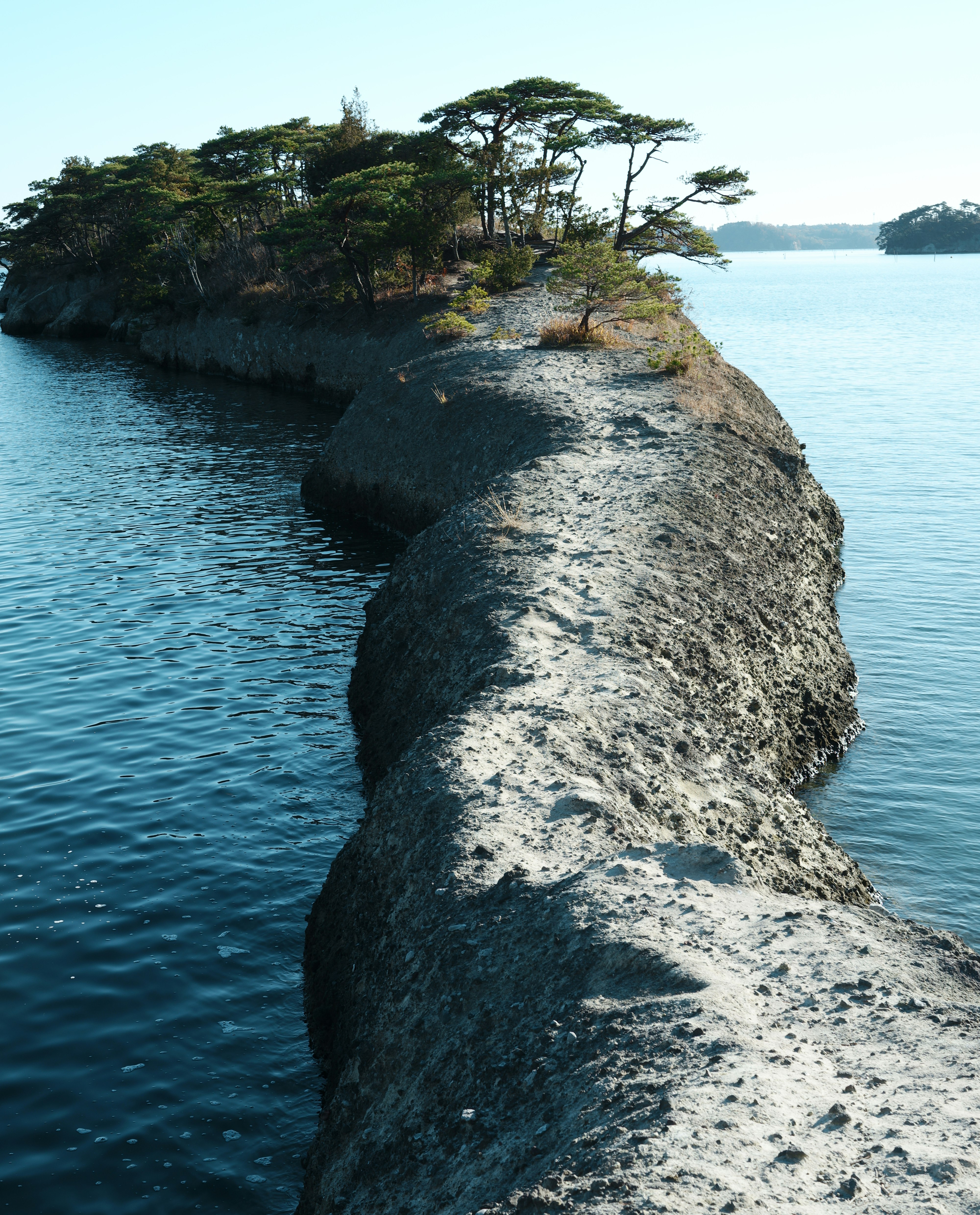 海沿いの岩場と木々が生える岬の景色