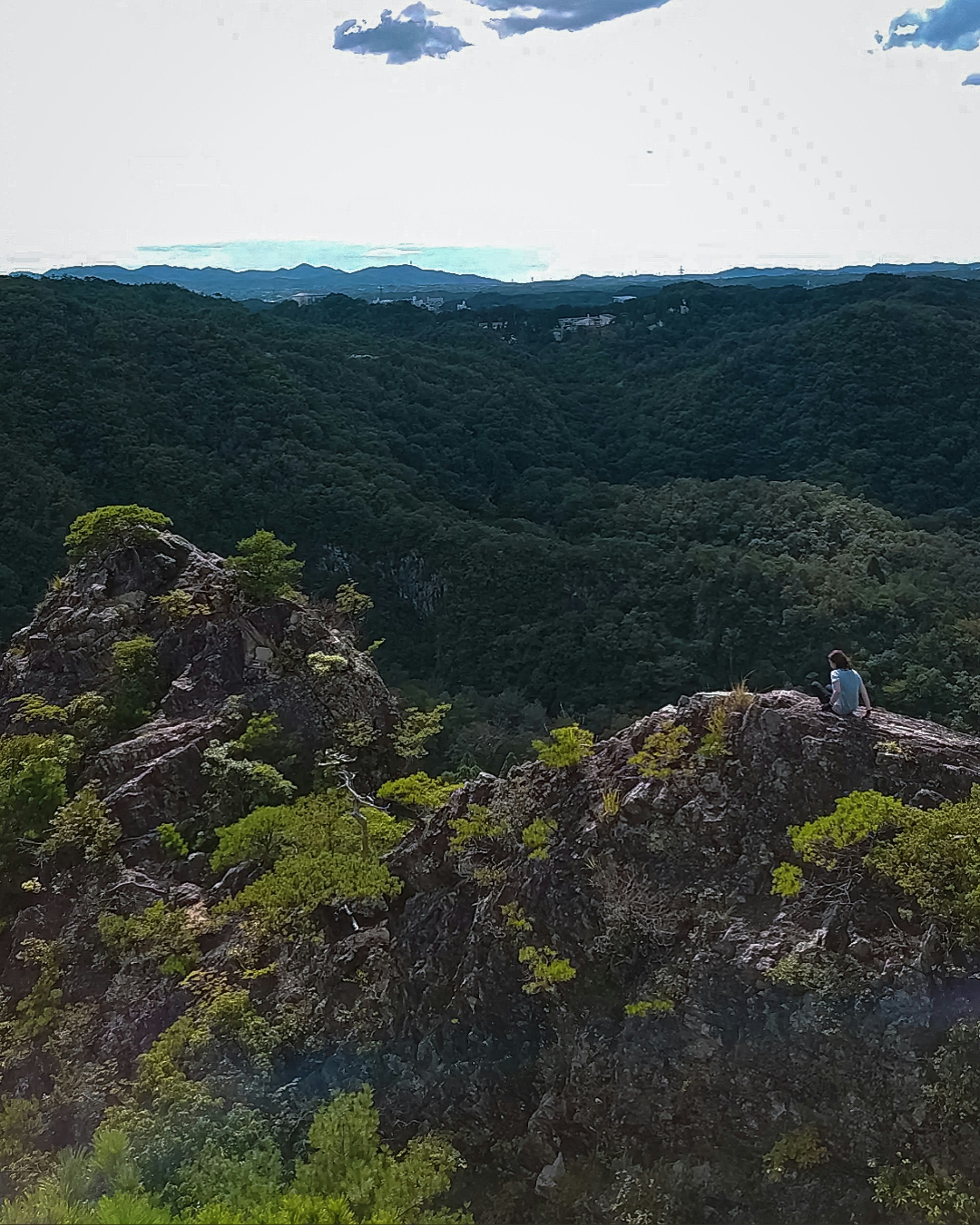 岩尾根の展望台から見渡す山並みと森の景色