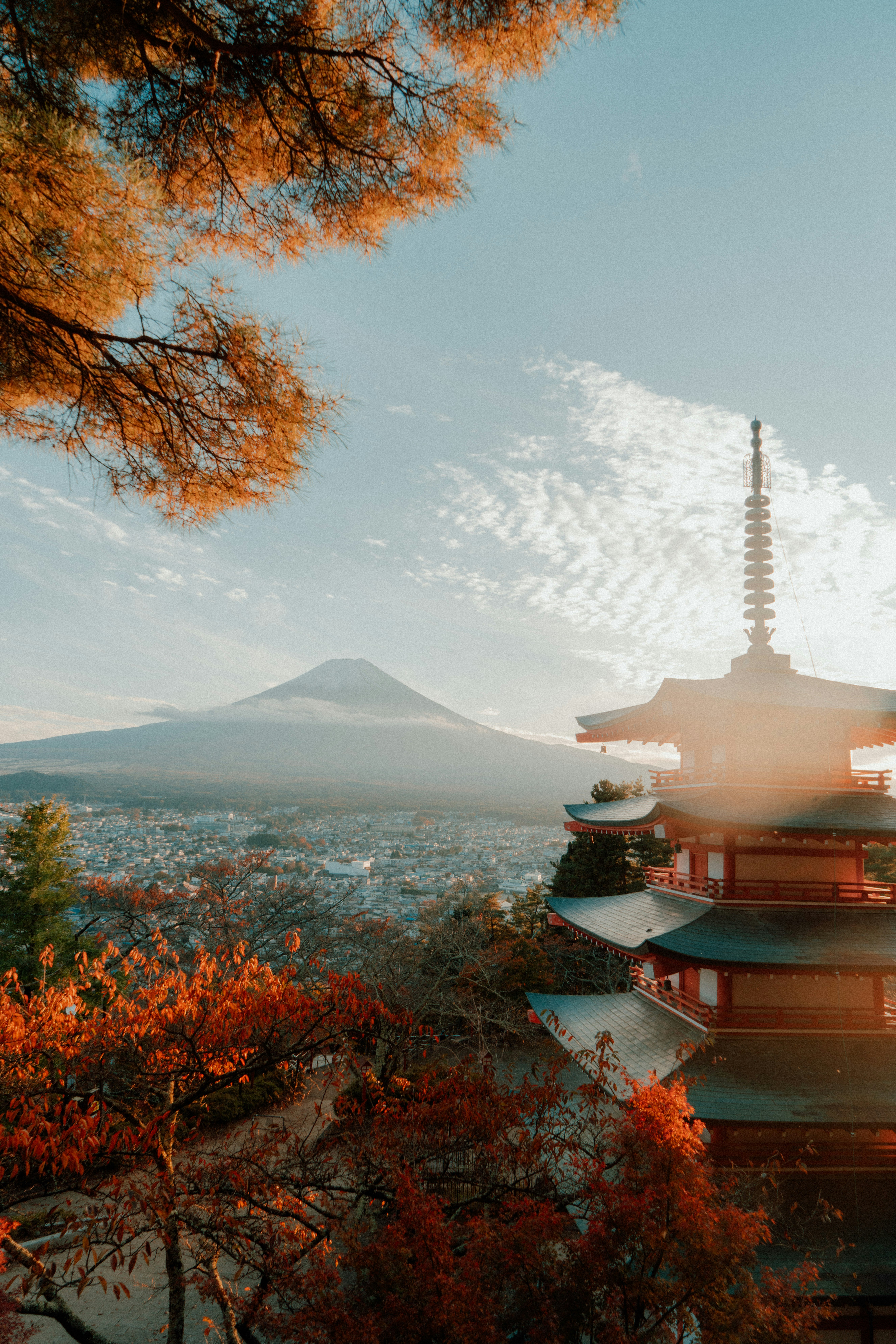紅葉と寺院の屋根、遠くに山並みが広がる景色
