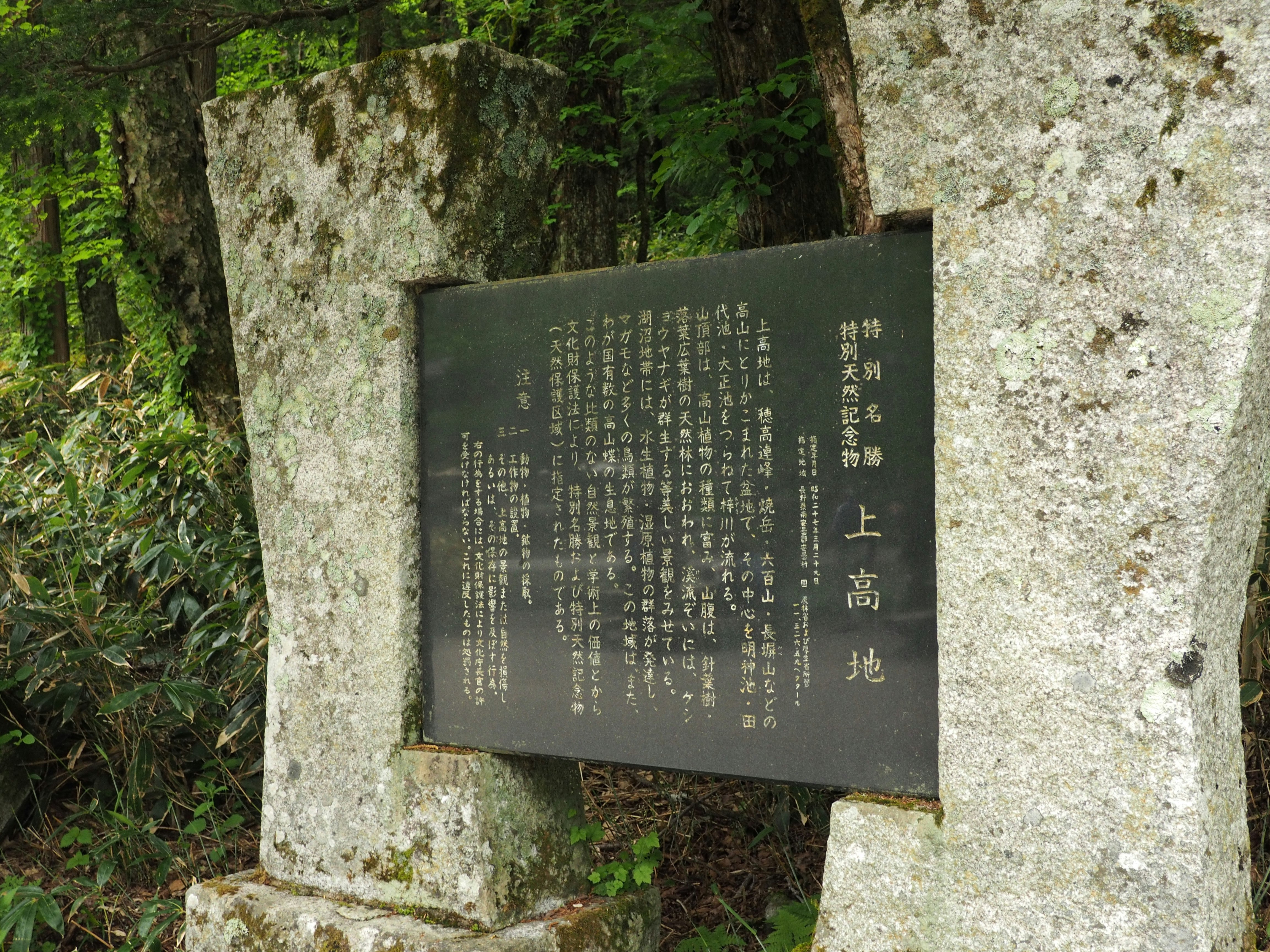 苔むした石碑と森の壁面に掲げられた案内板