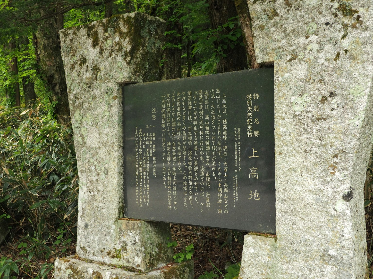 被綠植環繞的石碑上的黑色牌匾