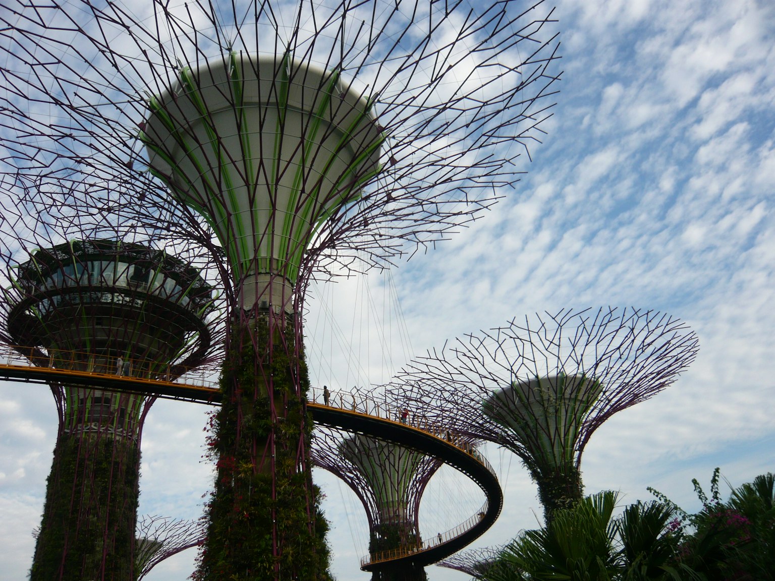 Blick auf den Supertree Grove in Singapur mit hohen Strukturen und blauem Himmel