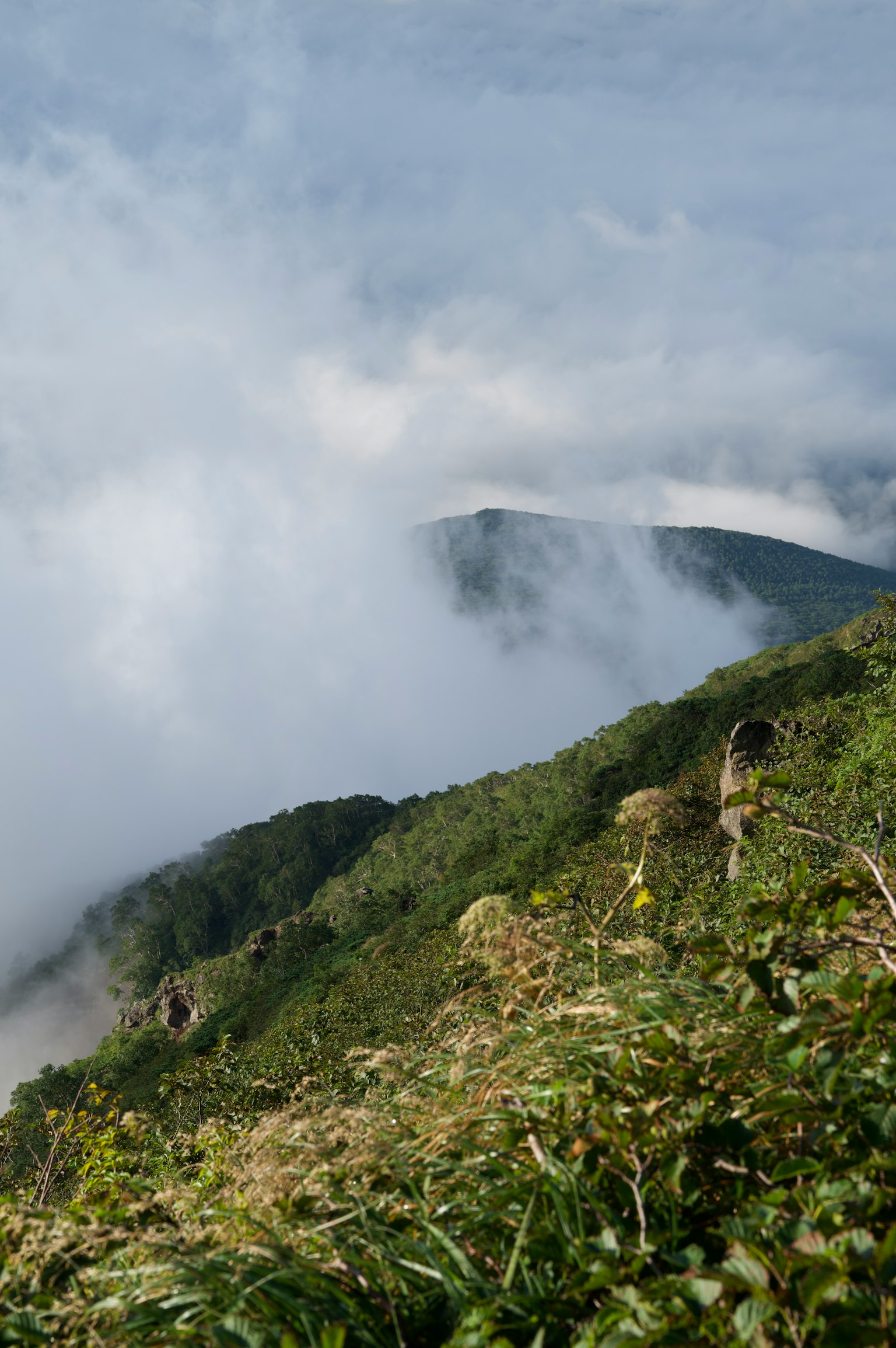 Paisaje montañoso envuelto en niebla con hierba verde y contorno de montaña distante