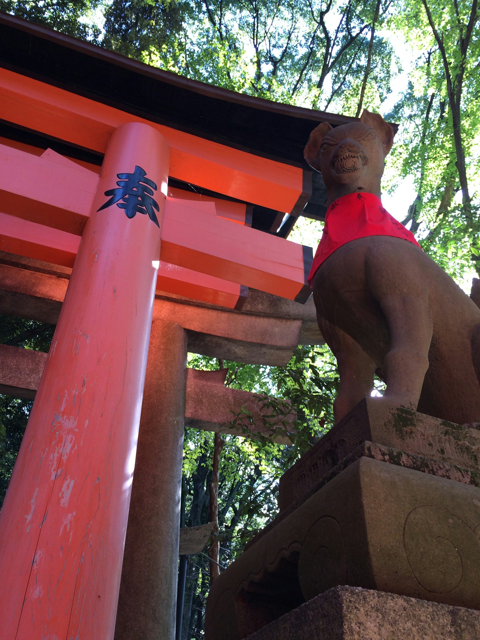 Une scène de sanctuaire avec un torii rouge et une statue de chien