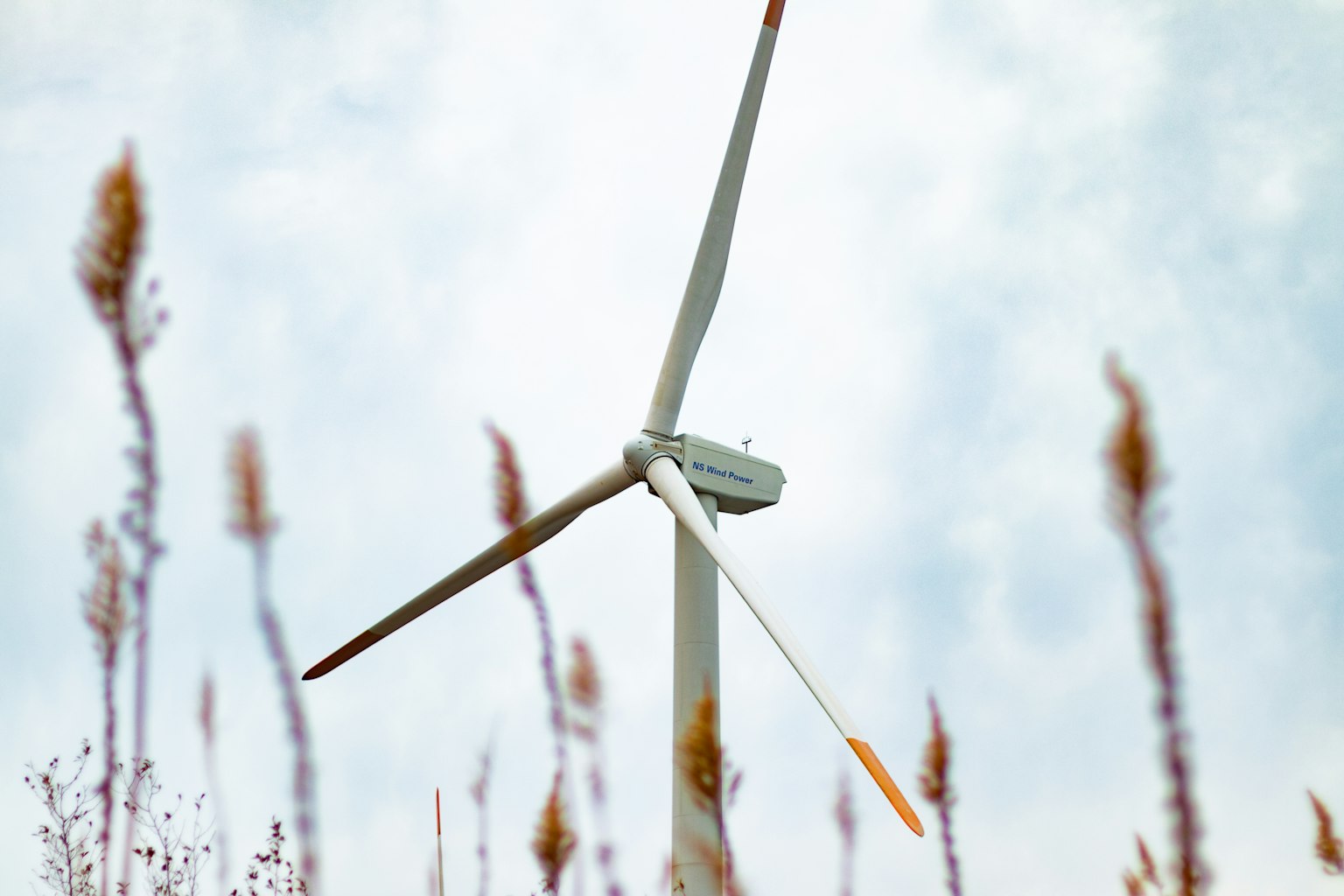 Wind turbine standing in a grassy field under a blue sky
