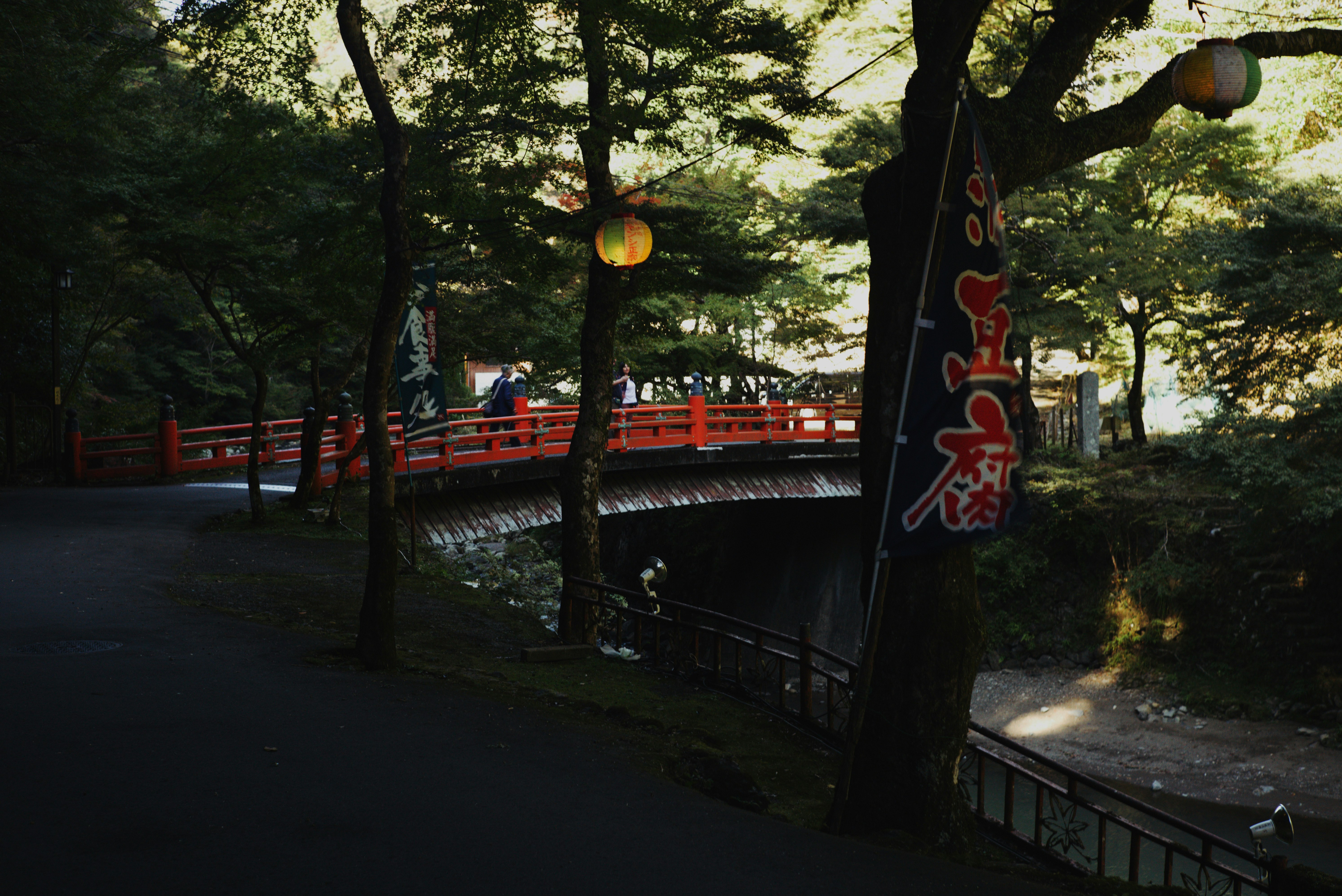 神護寺の赤い欄干と木々の並ぶ参道の夕景
