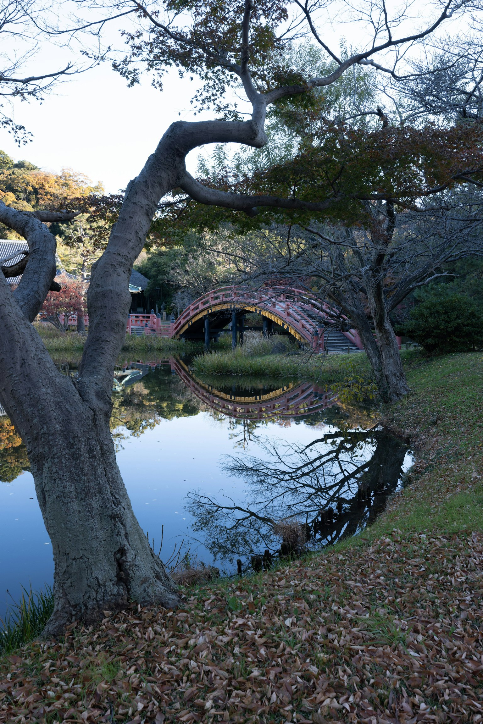 Pemandangan tenang jembatan melengkung yang terpantul di kolam dikelilingi pepohonan