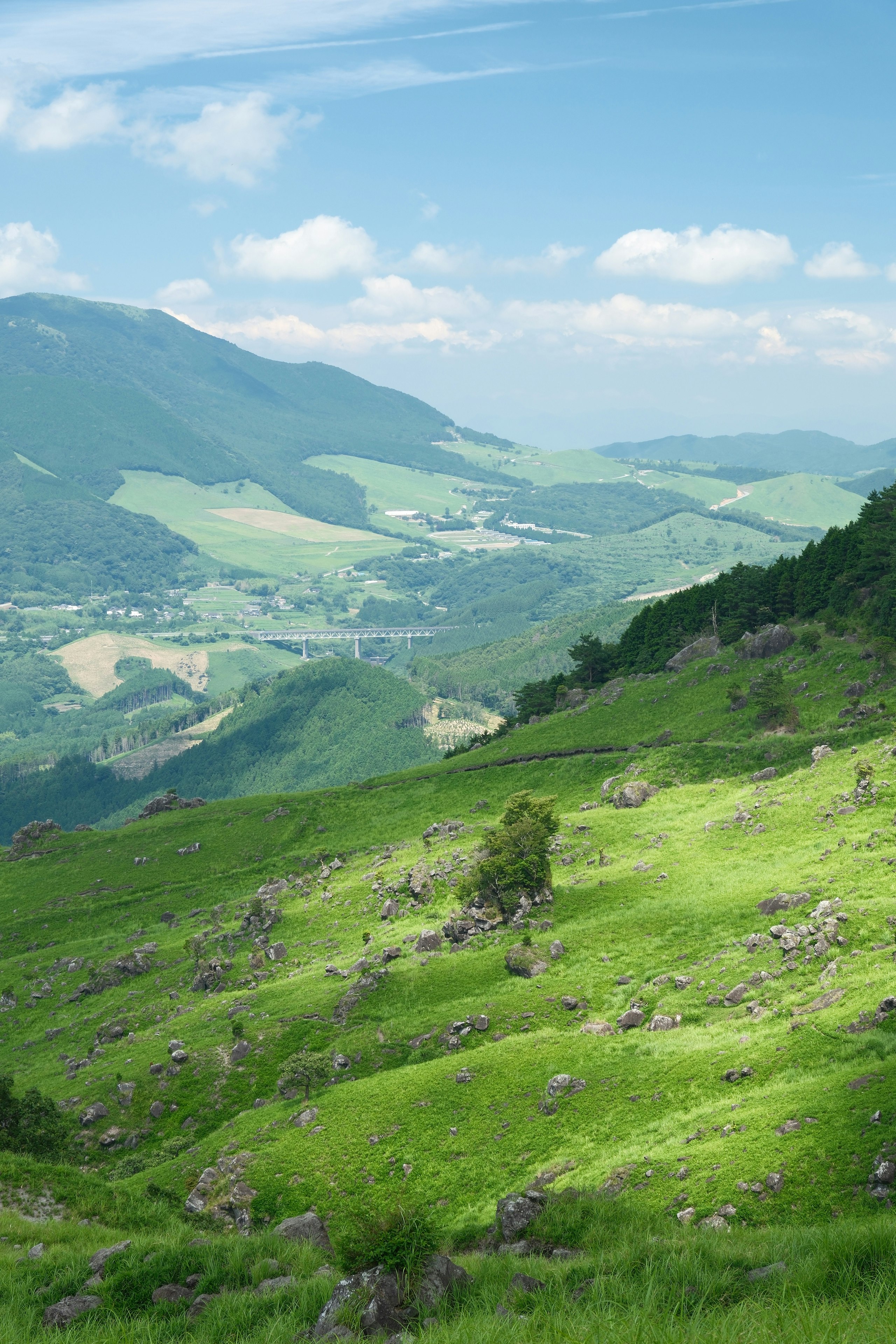 由布岳を望む緑の山並みと谷の風景