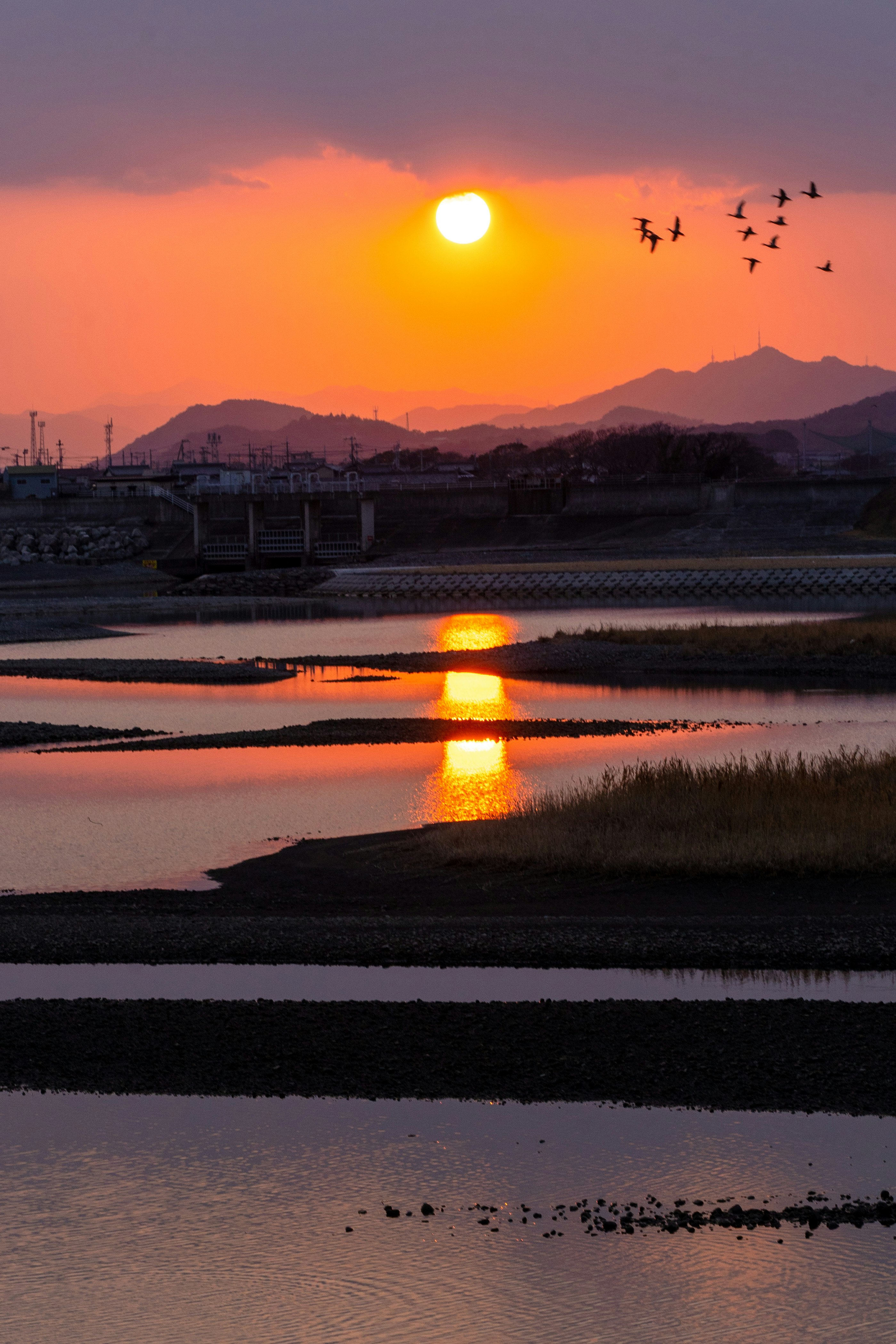 夕日に照らされた川沿いの水辺と夕焼けの空