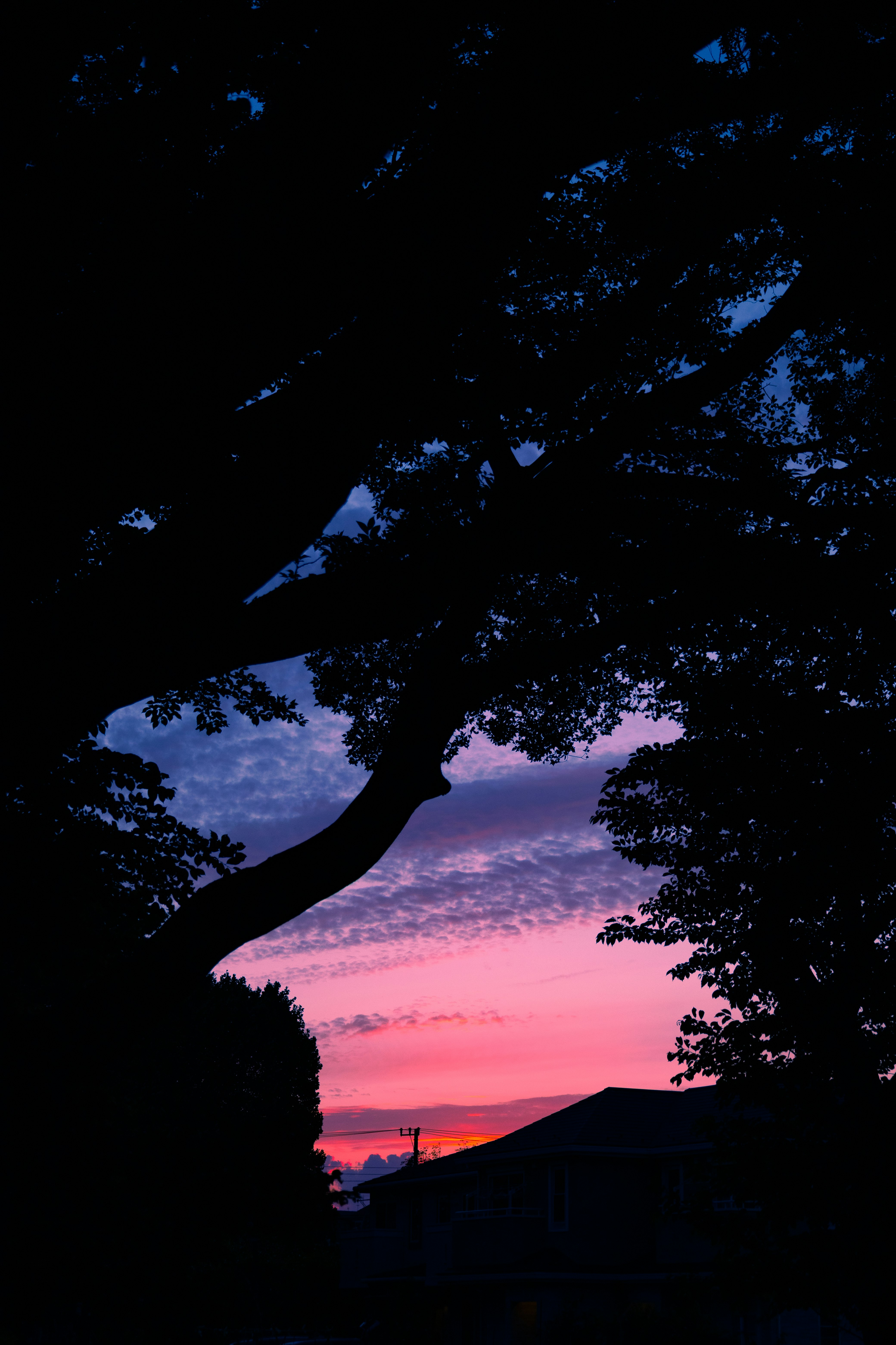 photo-3Vlwn8j6nftfLvUD7Sn1