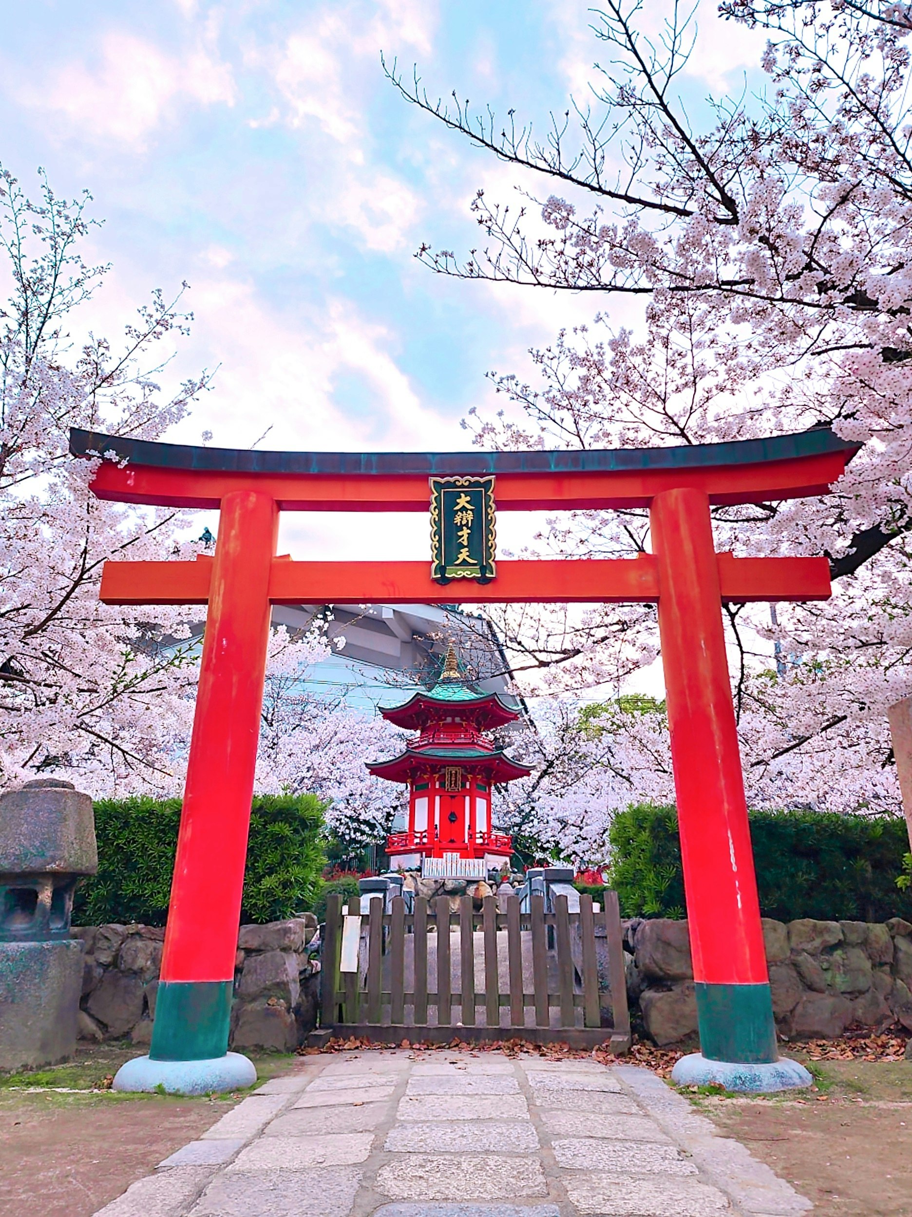 桜咲く四天王寺の朱色の鳥居と参道