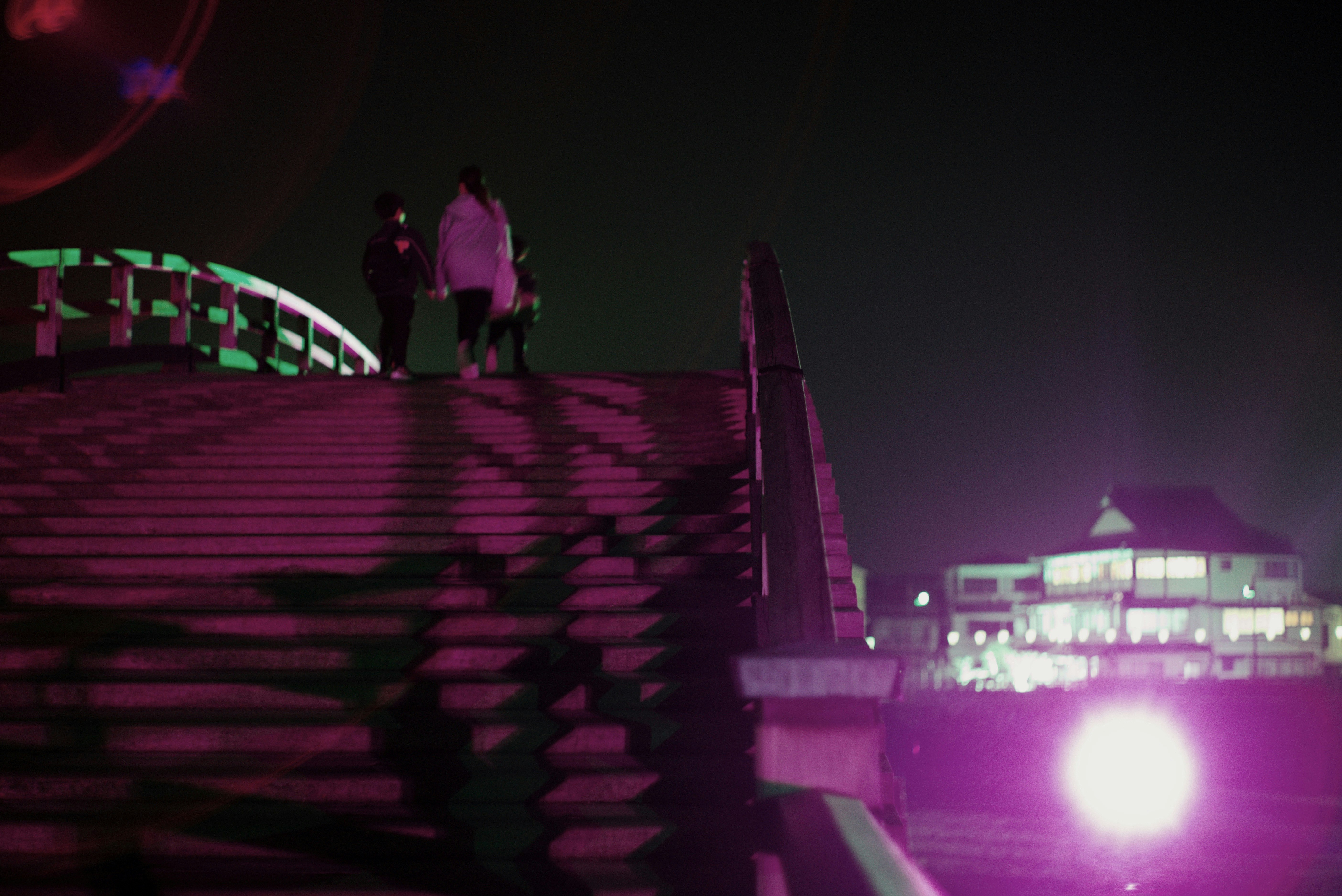 ライトアップされた錦帯橋の石段と桜並木の夜景
