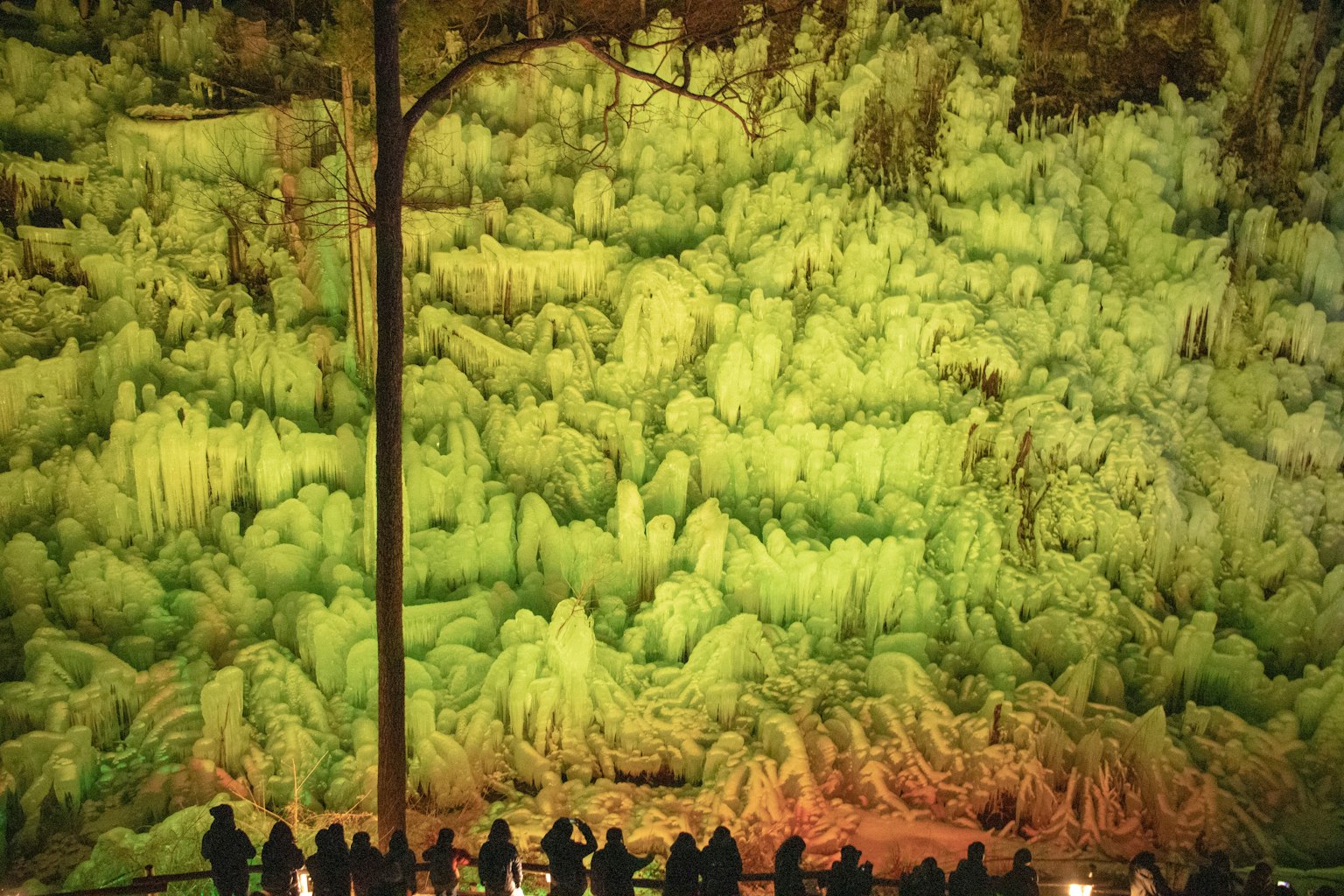 Silhouettes de spectateurs devant un mur vert vibrant