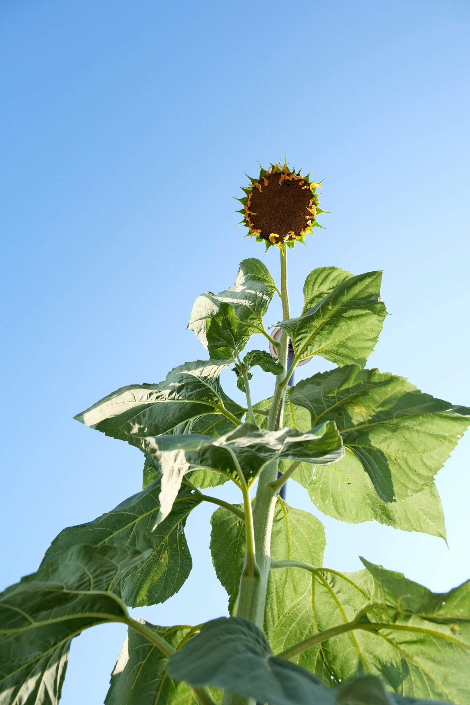 photo-3WqOAAvNSnw2gdNw9Apd-image