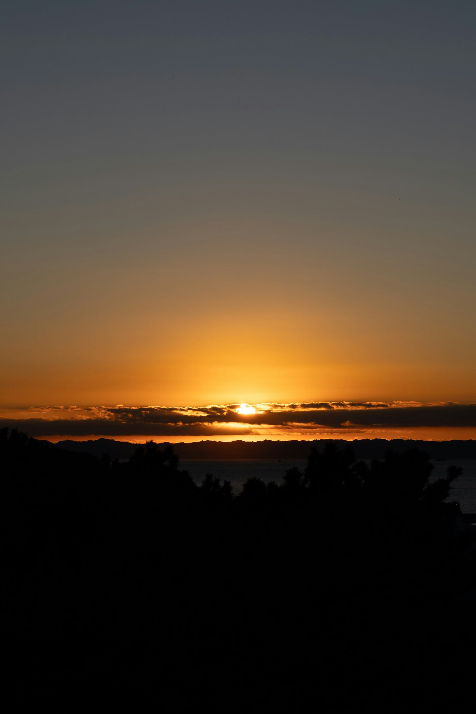 Bellissimo paesaggio al tramonto con alberi in silhouette