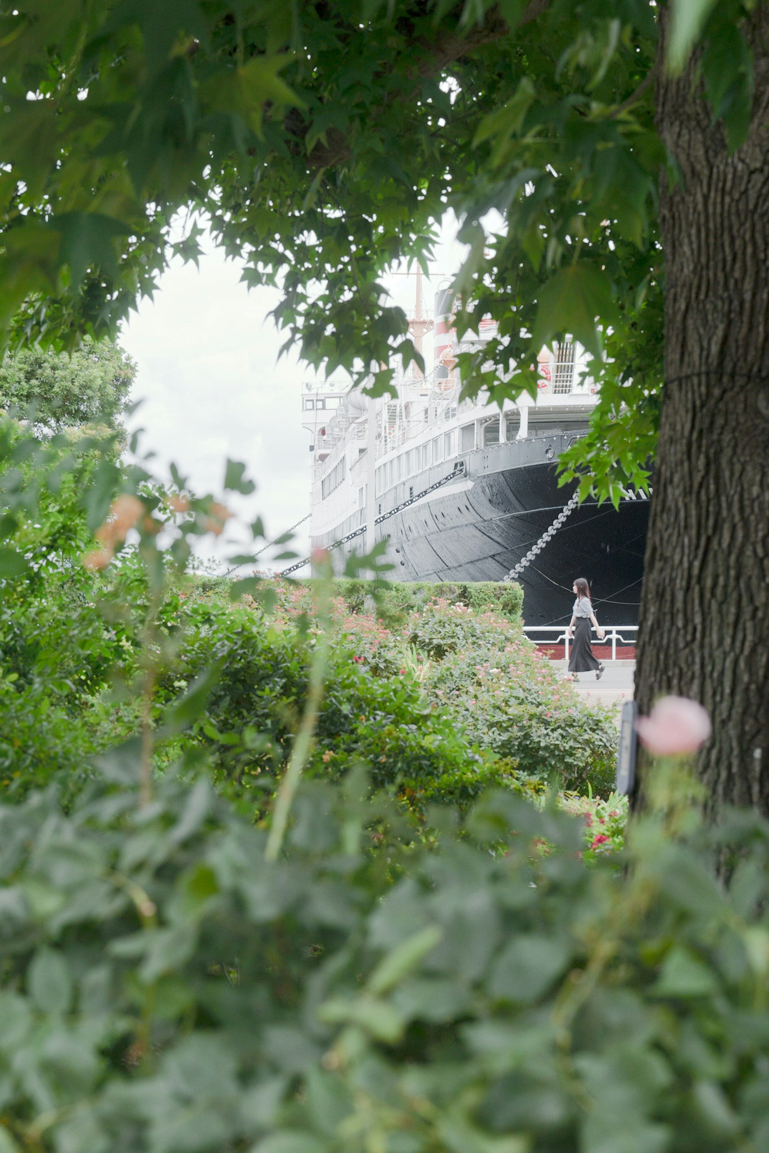 Una vista di una nave parzialmente nascosta da fogliame verde