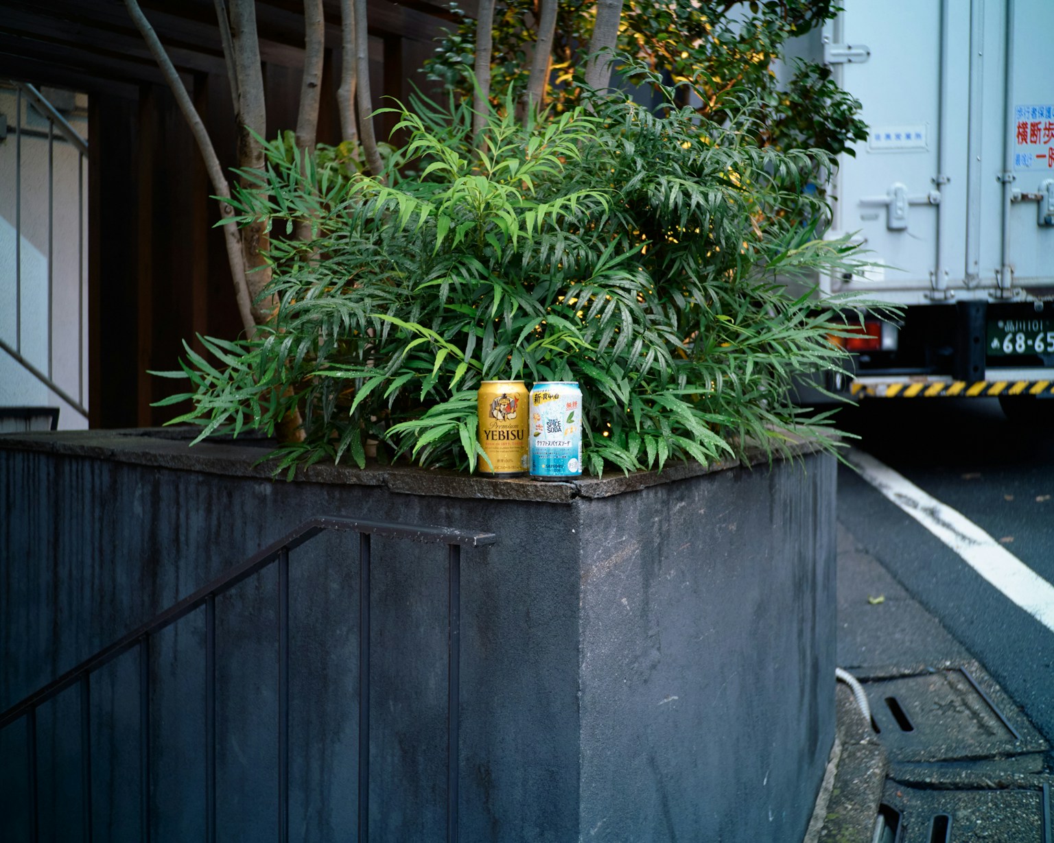 Jardinière en béton avec des canettes jaunes et bleues parmi des plantes vertes