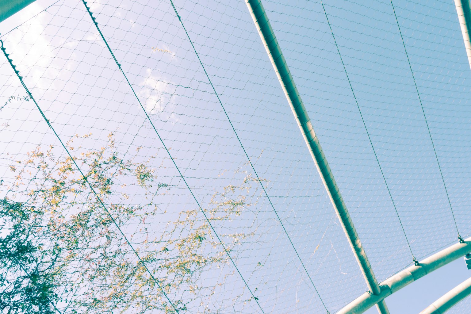 Part of a structure showing blue sky and netting