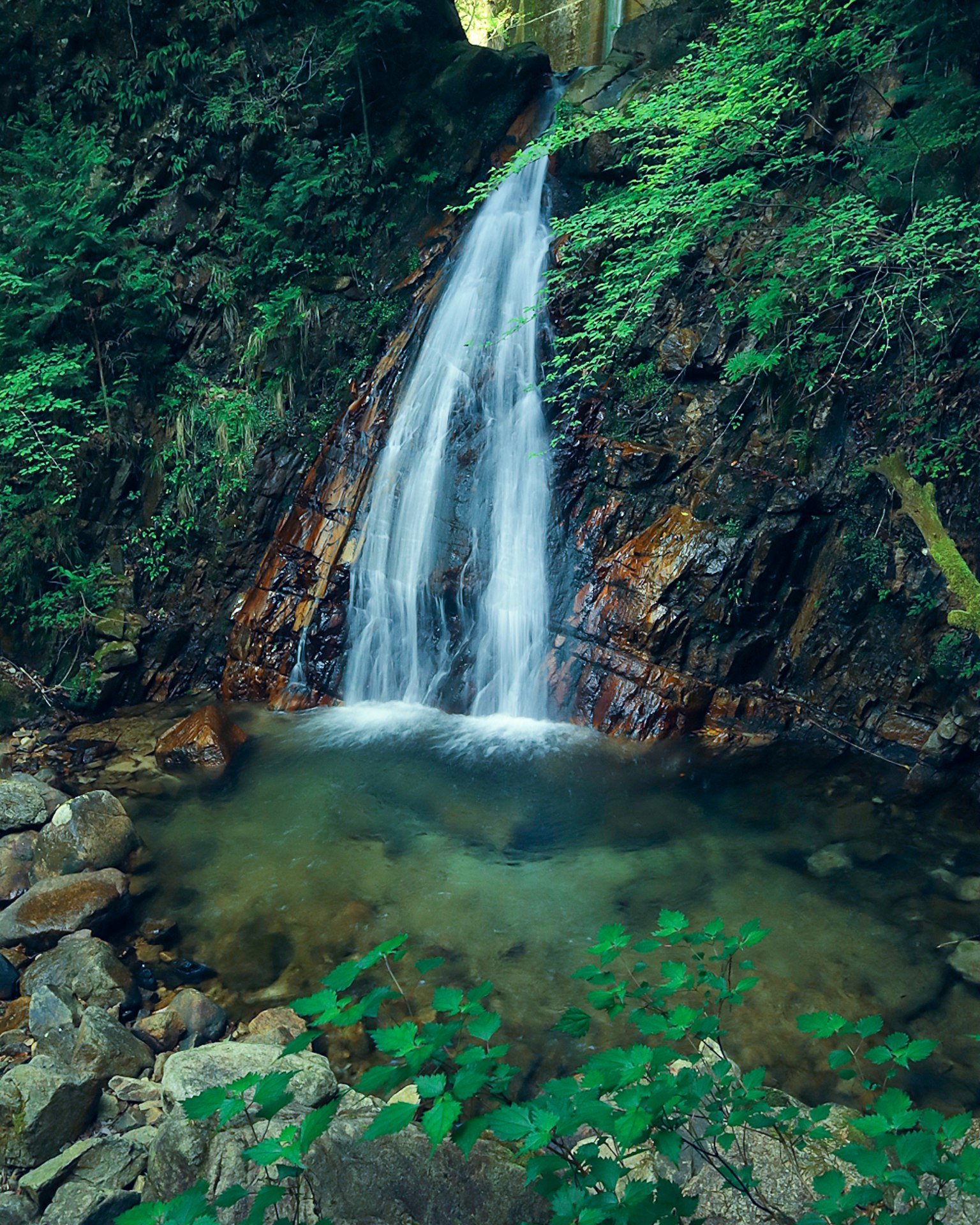 Beautiful waterfall surrounded by green foliage water cascading over rocks