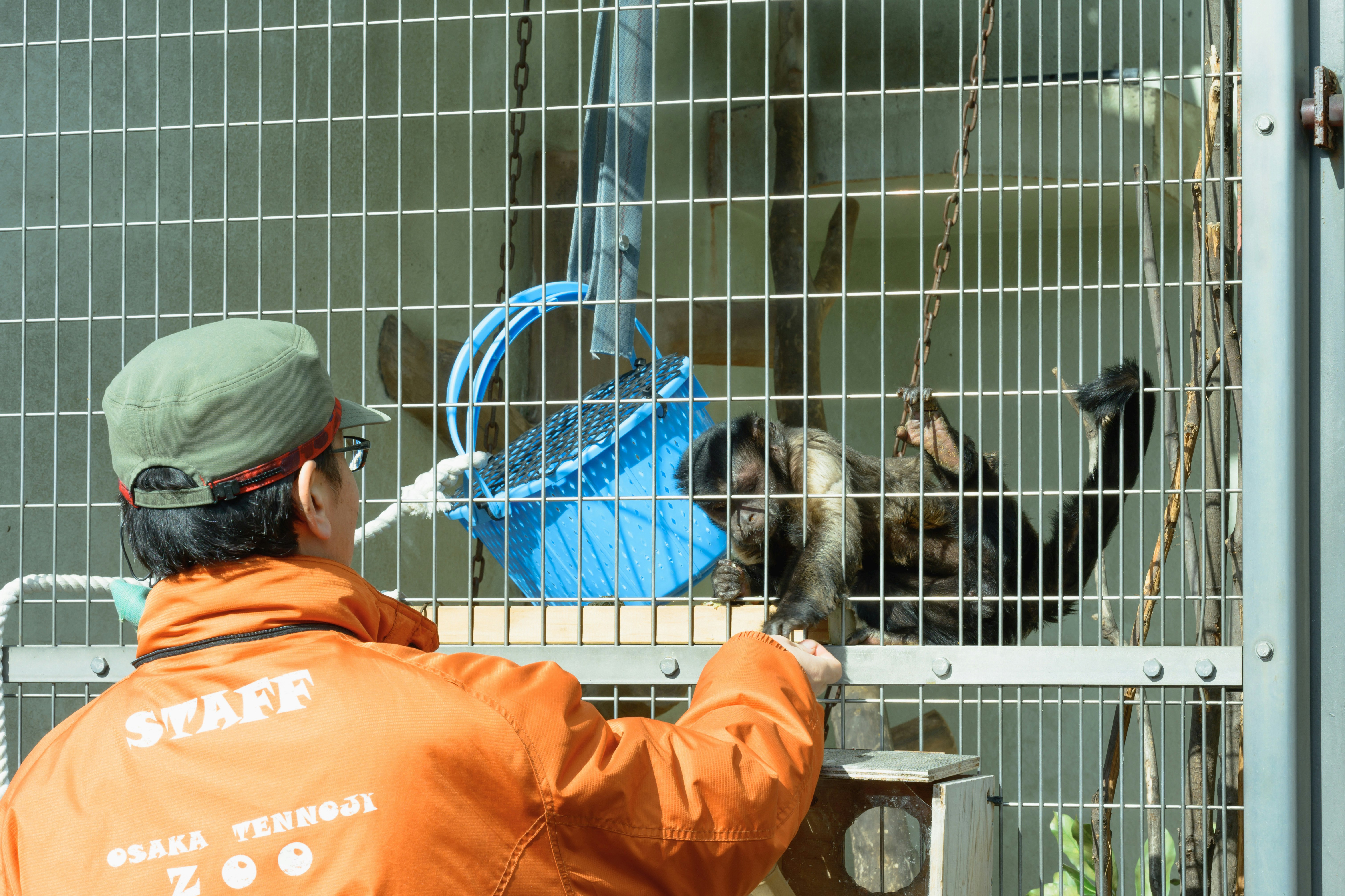 動物收容所裡工作人員在犬籠前看護狗狗