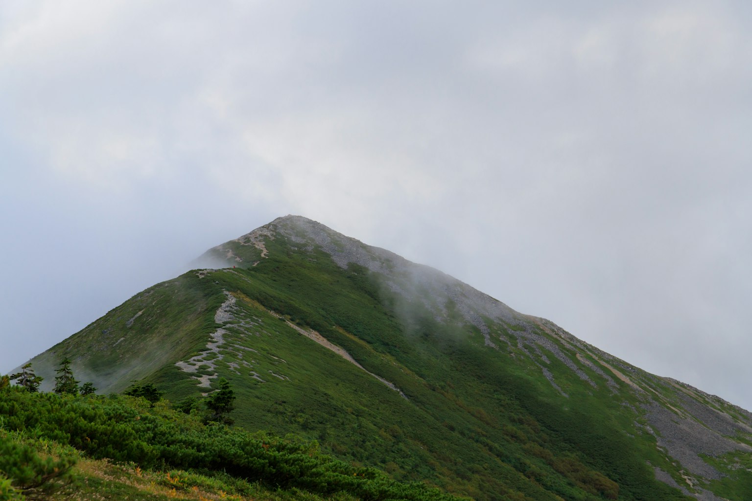 Berggipfel mit grüner Vegetation und Nebel
