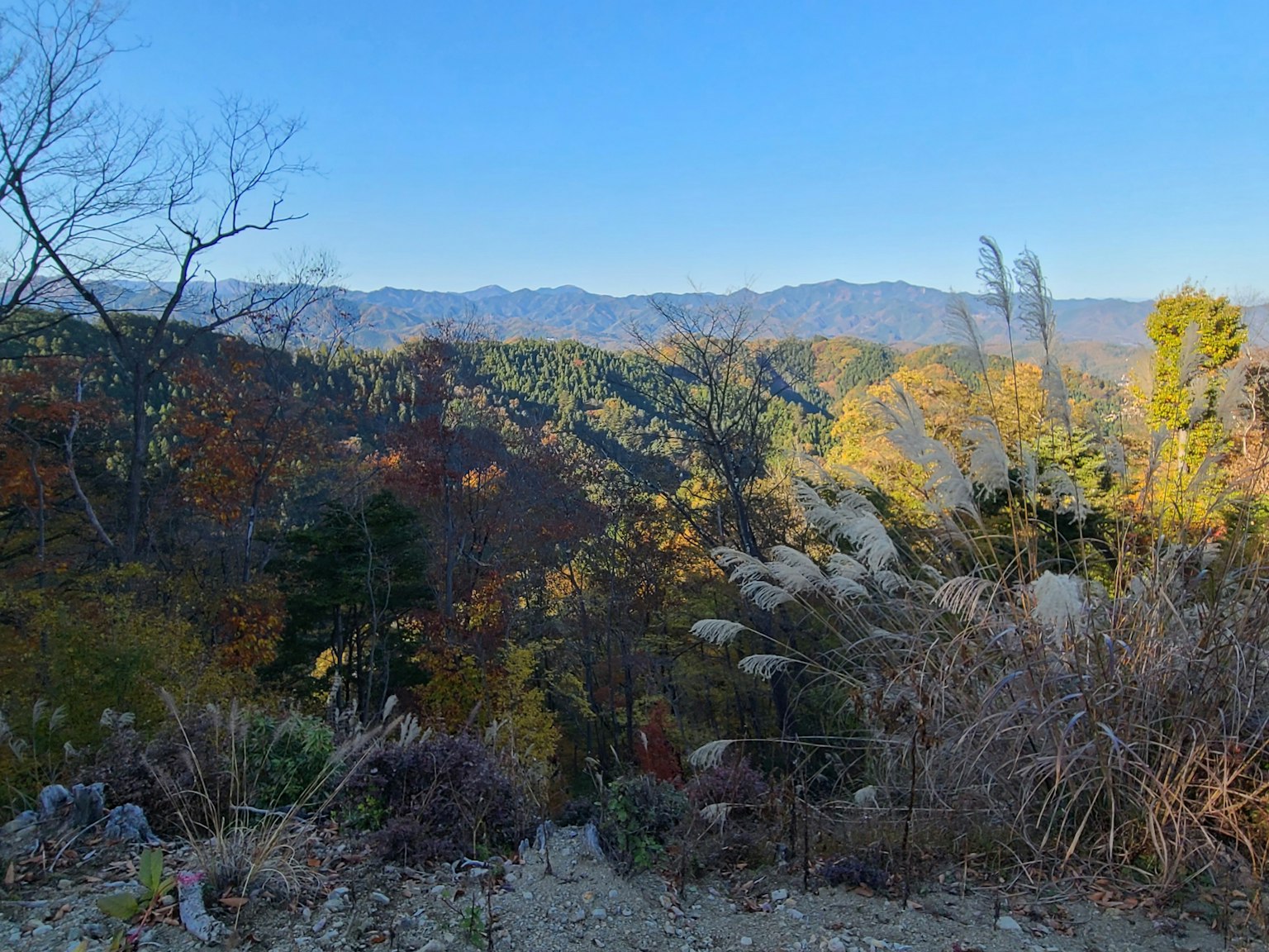 Paysage montagneux d'automne avec des arbres verts et jaunes et un ciel bleu