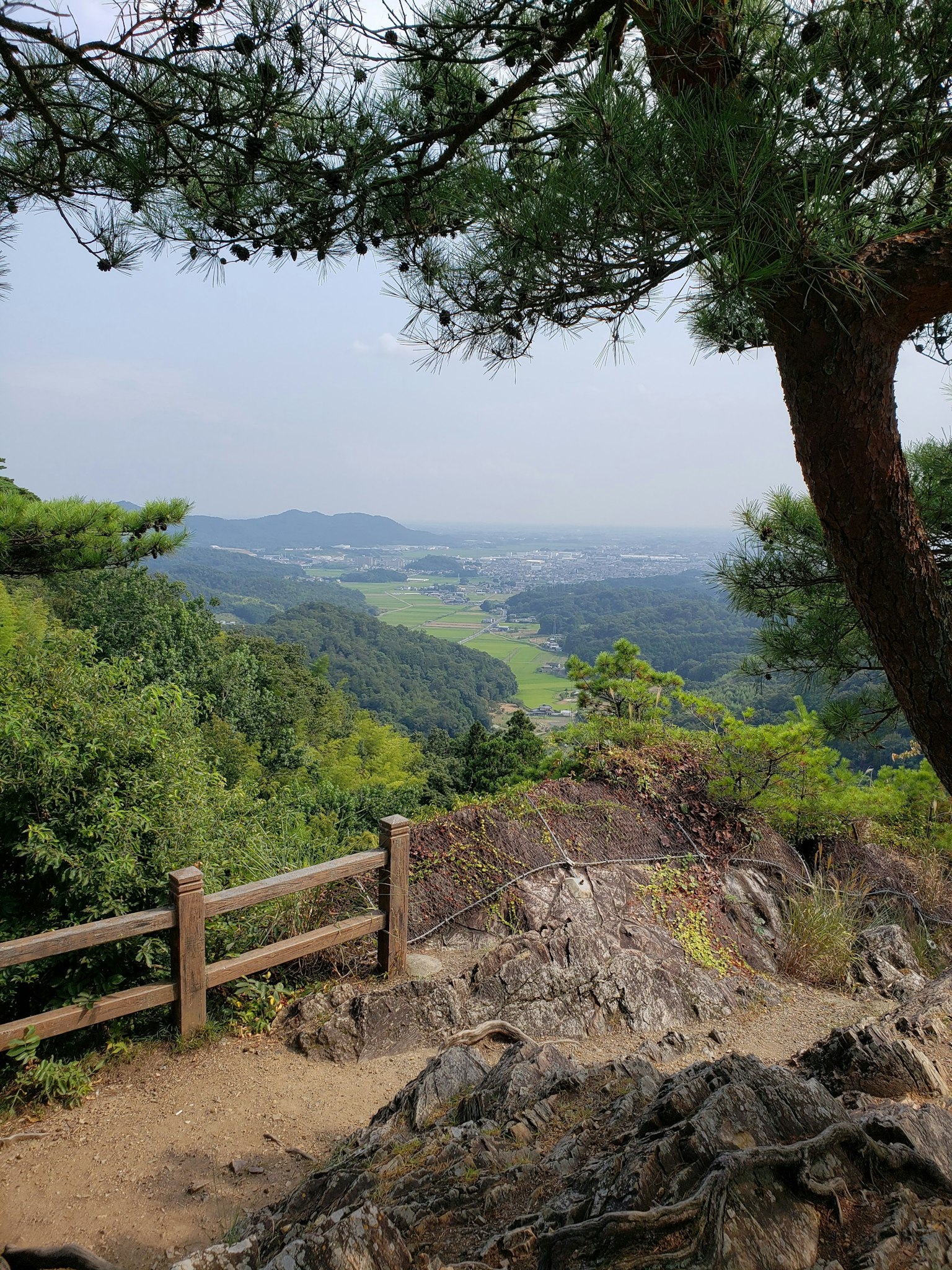 風景優美的觀景點，俯瞰郁郁蔥蔥的山谷，樹木和木柵欄