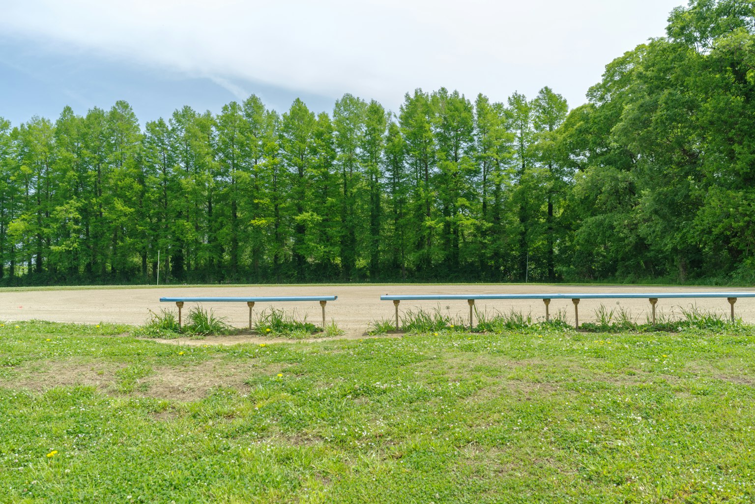 Un paisaje con una fila de bancos frente a árboles verdes y un campo abierto
