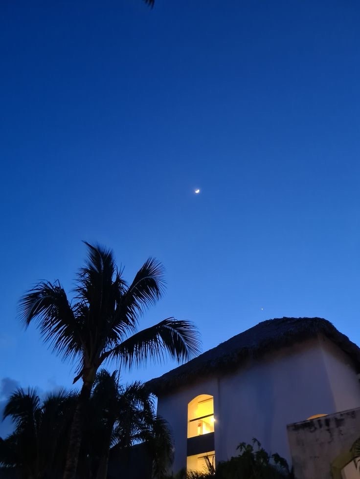 ヤシの木と青い夜空、灯りのある家の外観