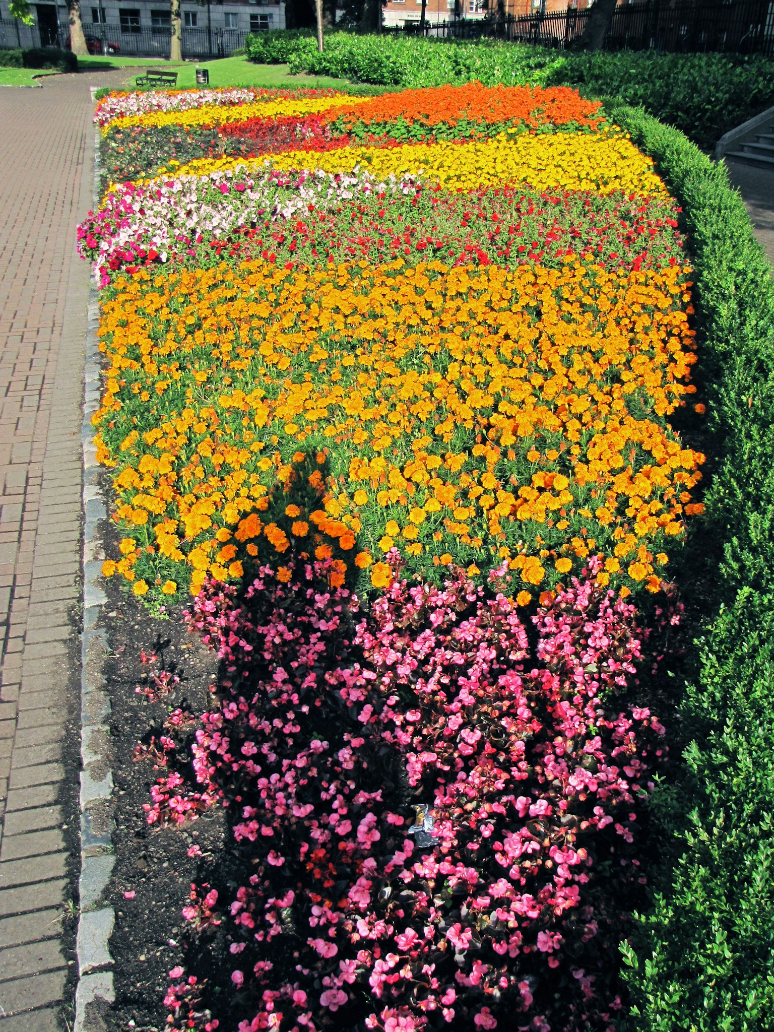 Vibrant flower bed in a park with colorful blooms and a shadow